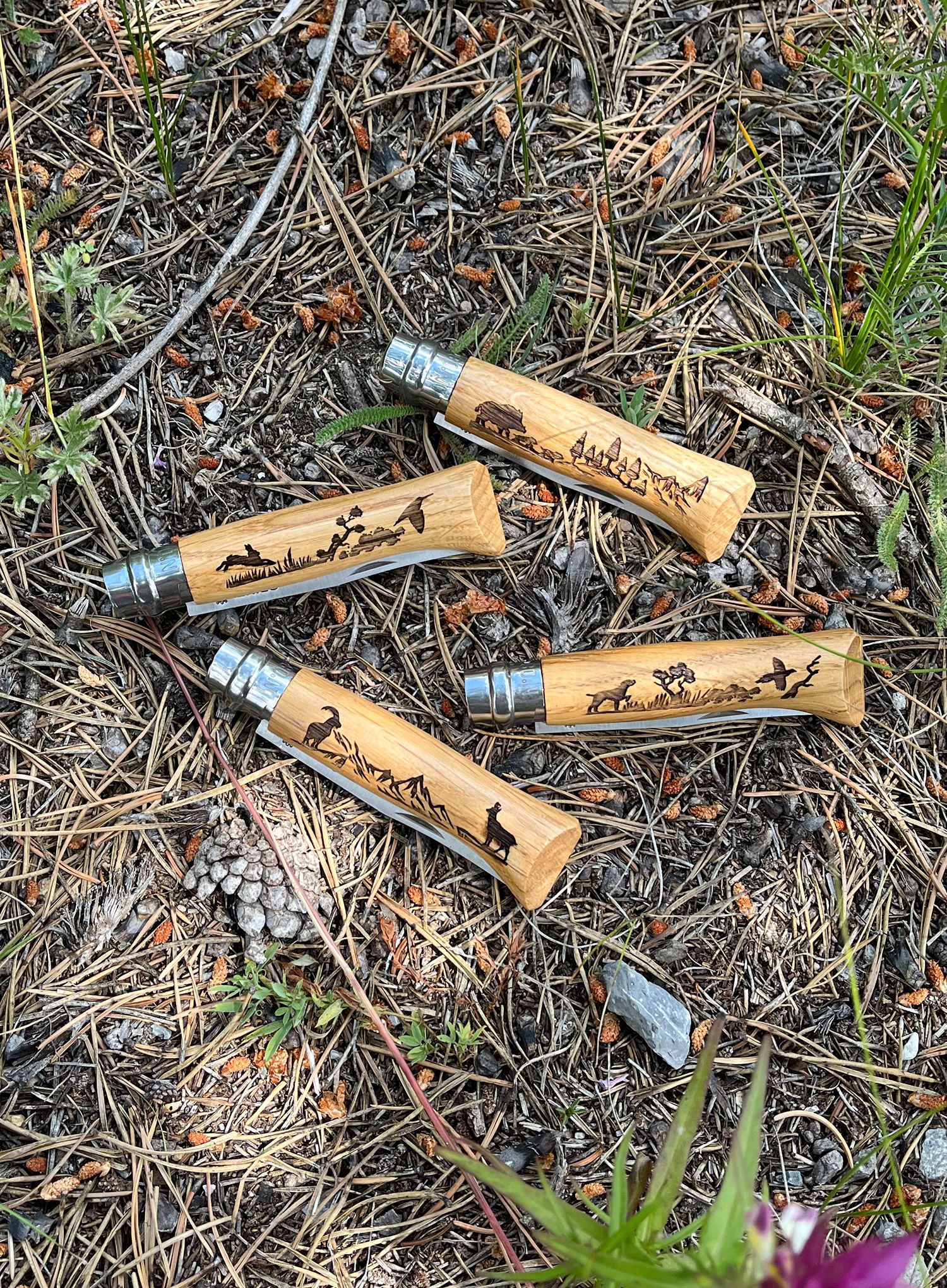 Žepni nož Opinel Animalia No.08 - chamois