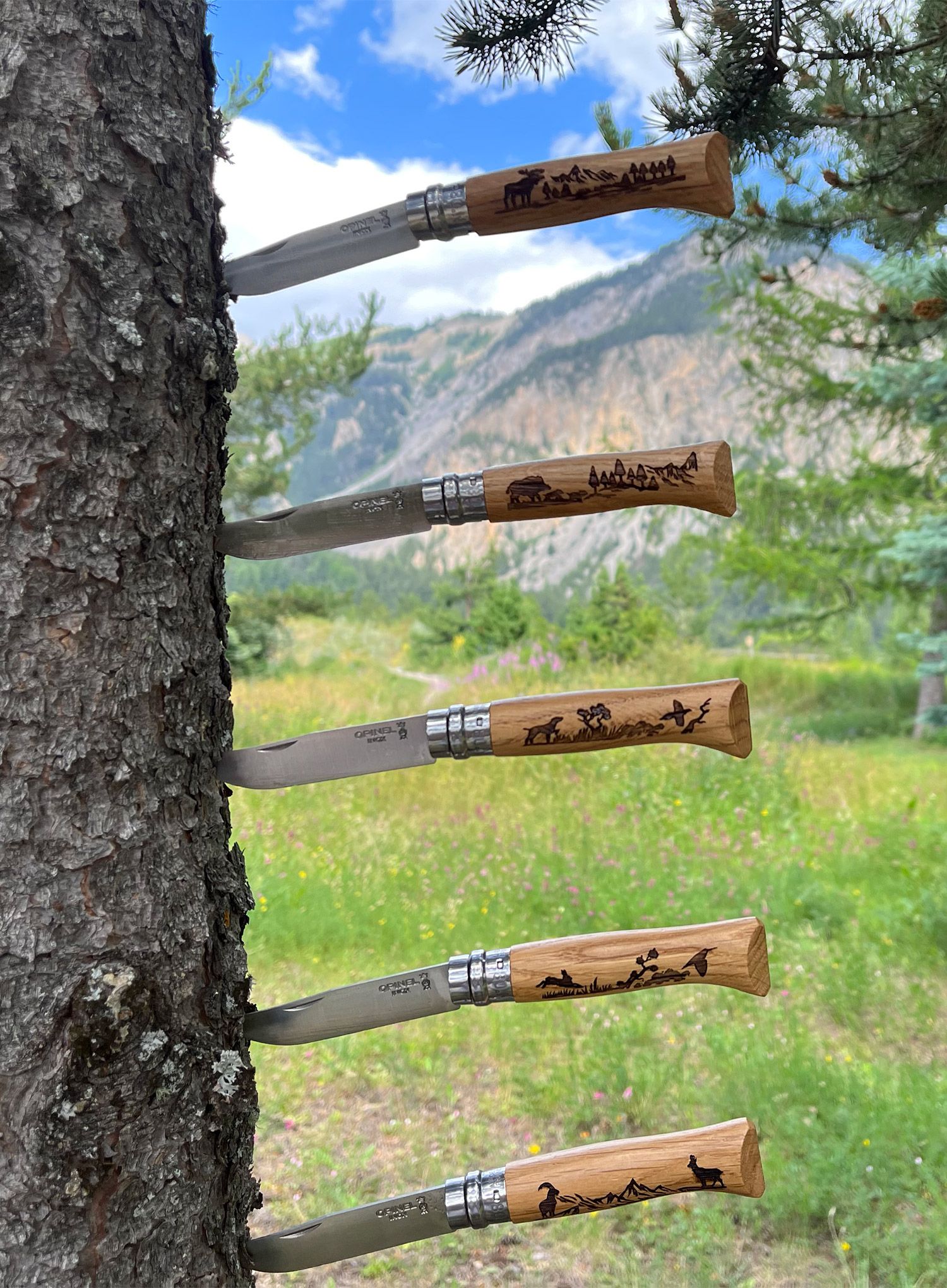 Žepni nož Opinel Animalia No.08 - wild boar