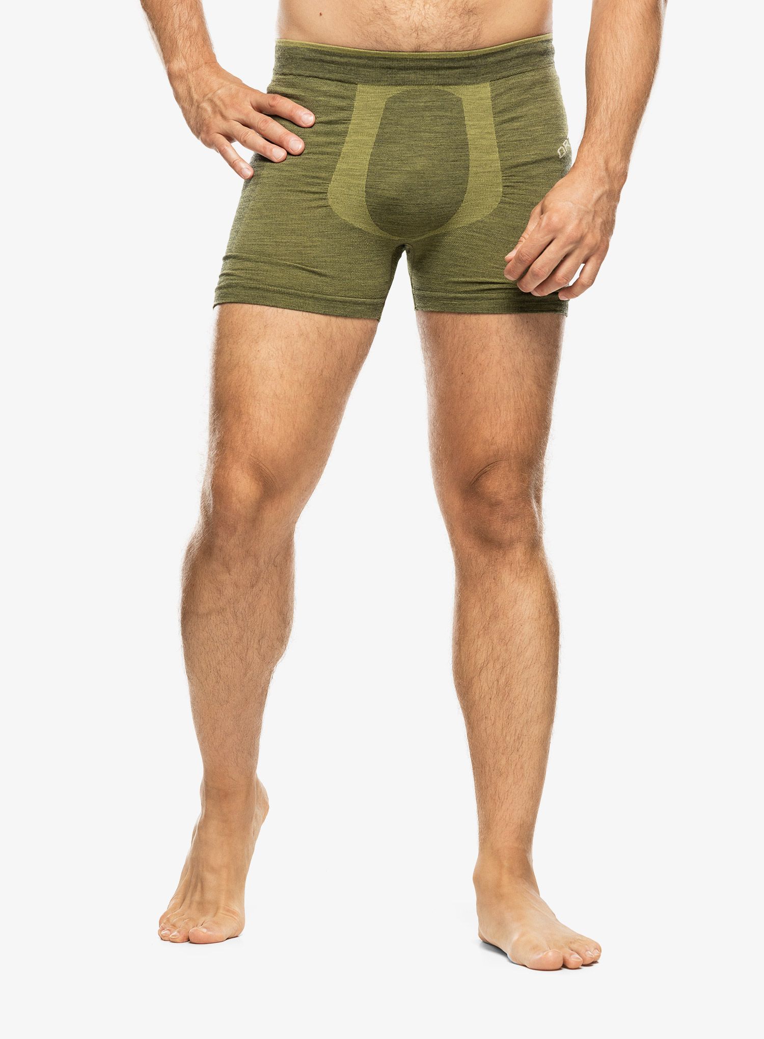 Moške boksarice Ortovox 230 Competition Boxer - wild herbs