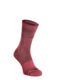 Ženske merino nogavice Ortovox Alpine Pro Comp Mid Socks - wild rose