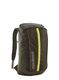 Mestni nahrbtnik Patagonia Black Hole Pack 25L - pine needle green