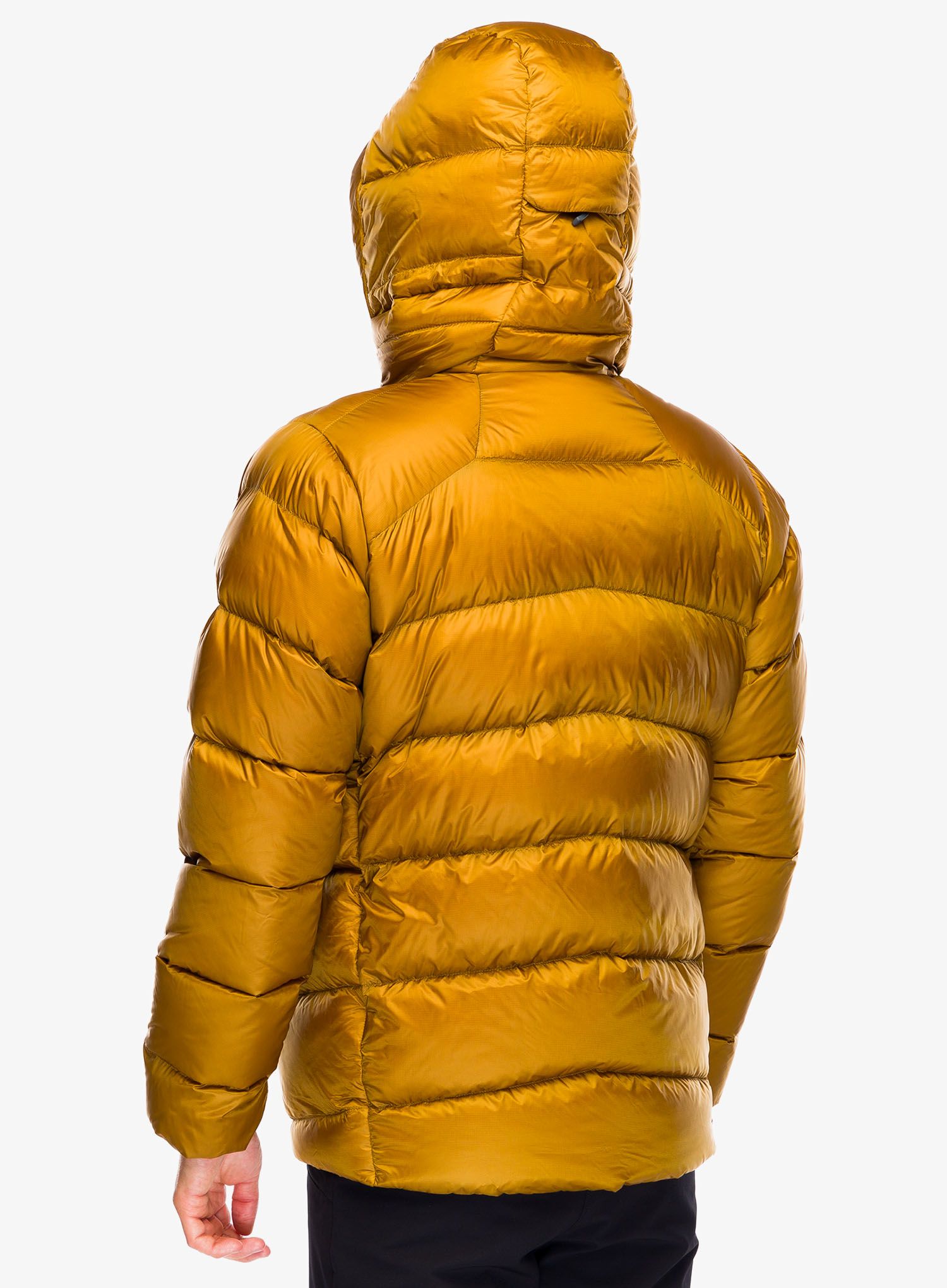 Puhovka Patagonia Fitz Roy Down Hoody - raptor brown