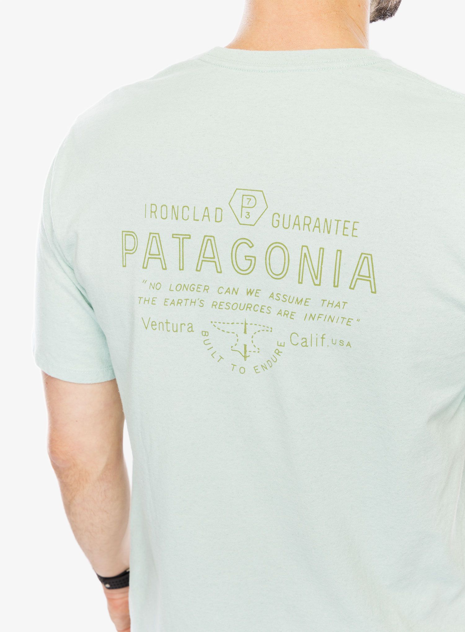 Majica s potiskom Patagonia Forge Mark Responsibili-Tee - wispy green