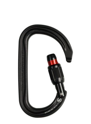 Vponka z matico Petzl Am'D Screw-Lock - black