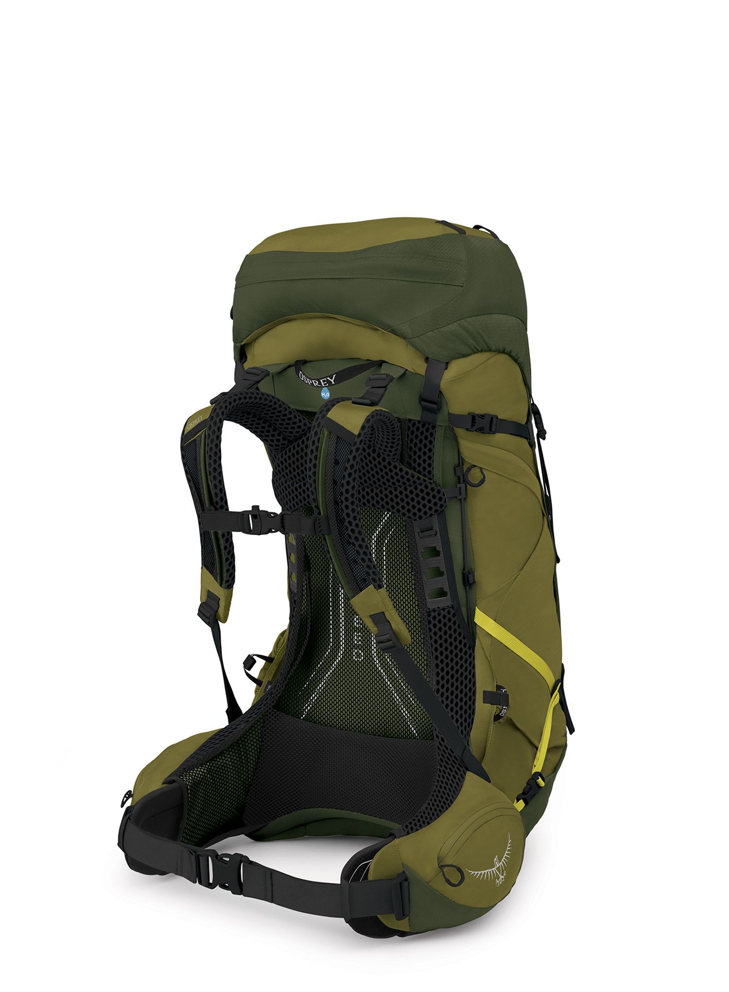 Pohodniški nahrbtnik Osprey Atmos AG LT 50 - scenic valley/green peppercorn