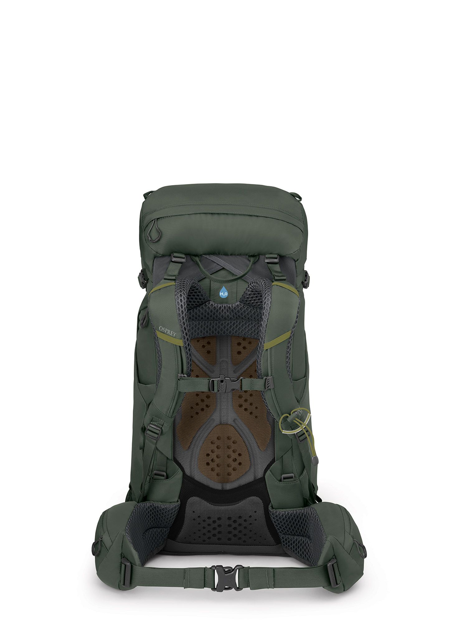 Pohodniški nahrbtnik Osprey Kestrel 38 - bonsai green