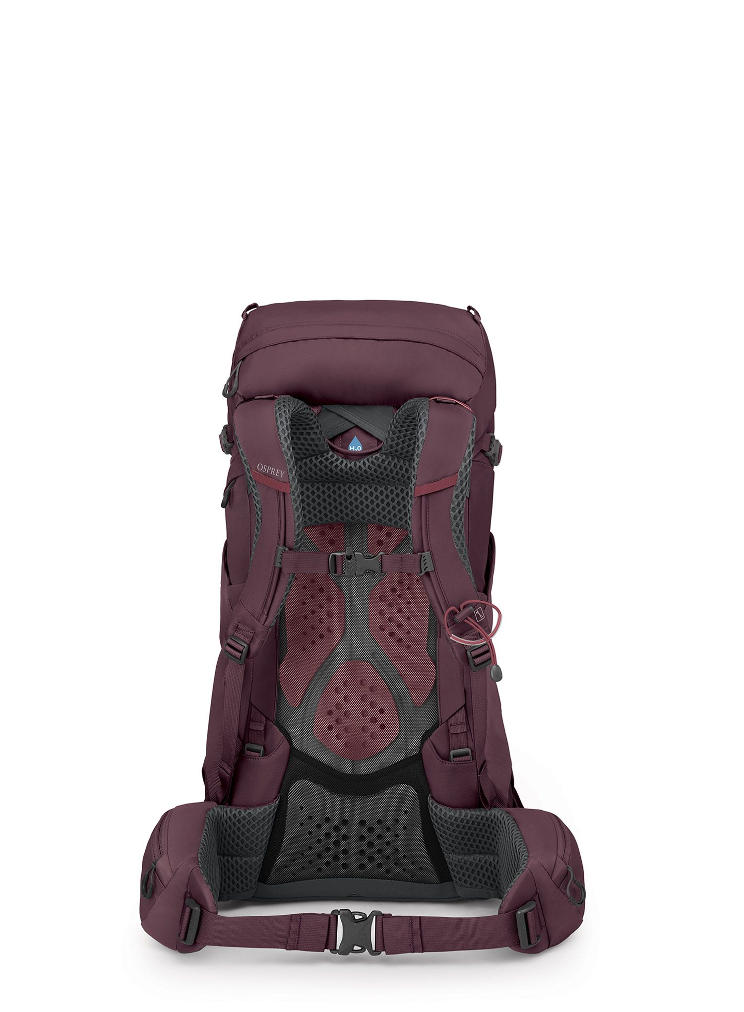 Ženski pohodniški nahrbtnik Osprey Kyte 38 - elderberry purple
