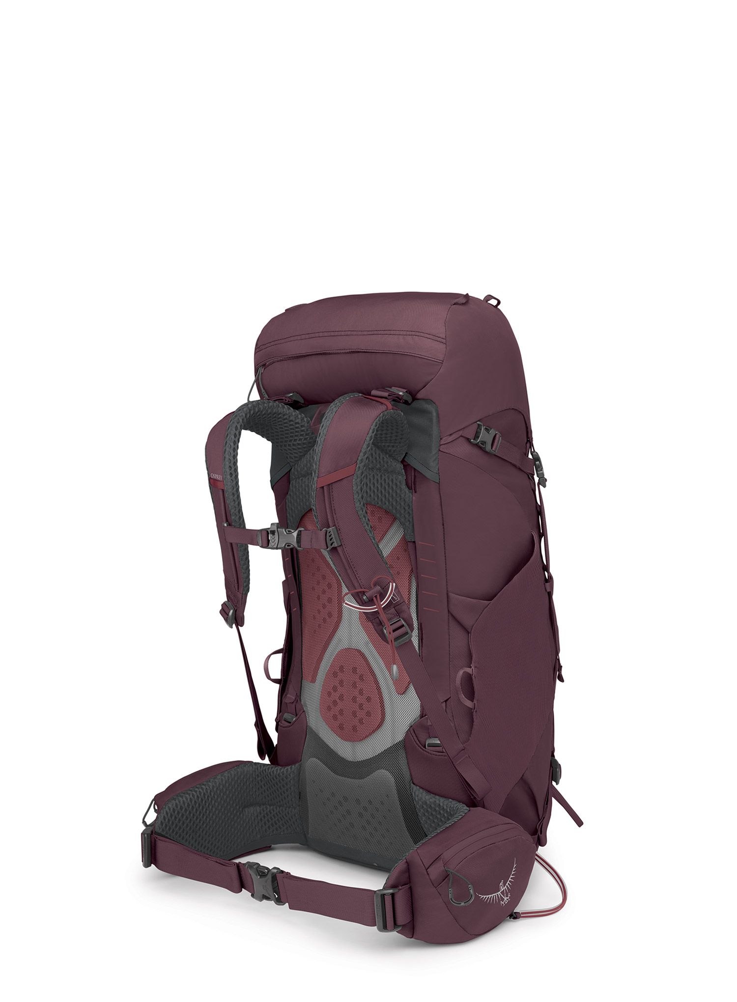 Ženski pohodniški nahrbtnik Osprey Kyte 38 - elderberry purple