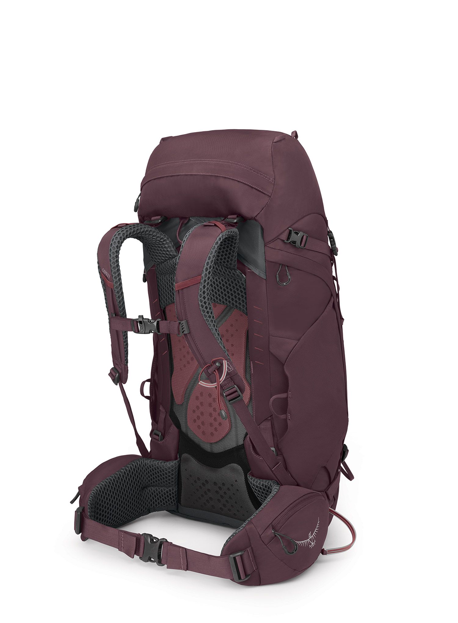 Ženski pohodniški nahrbtnik Osprey Kyte 48 - elderberry purple