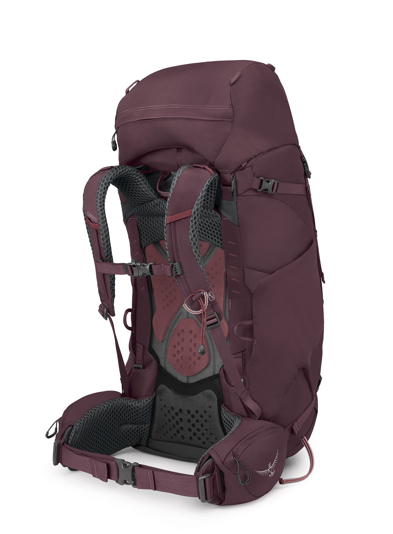 Ženski pohodniški nahrbtnik Osprey Kyte 68 - elderberry purple