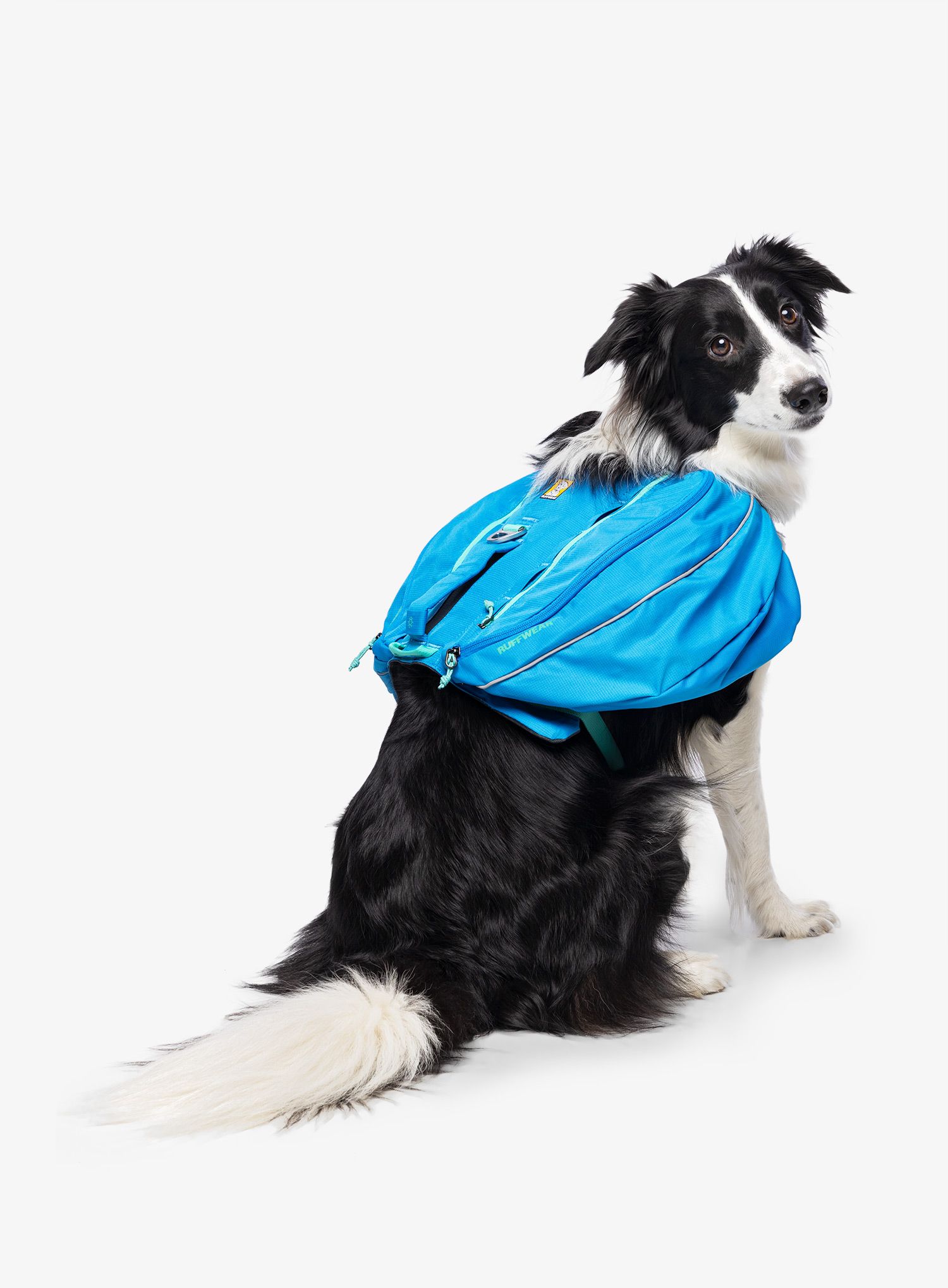 Nahrbtnik za psa Ruffwear Approach Pack - blue dusk