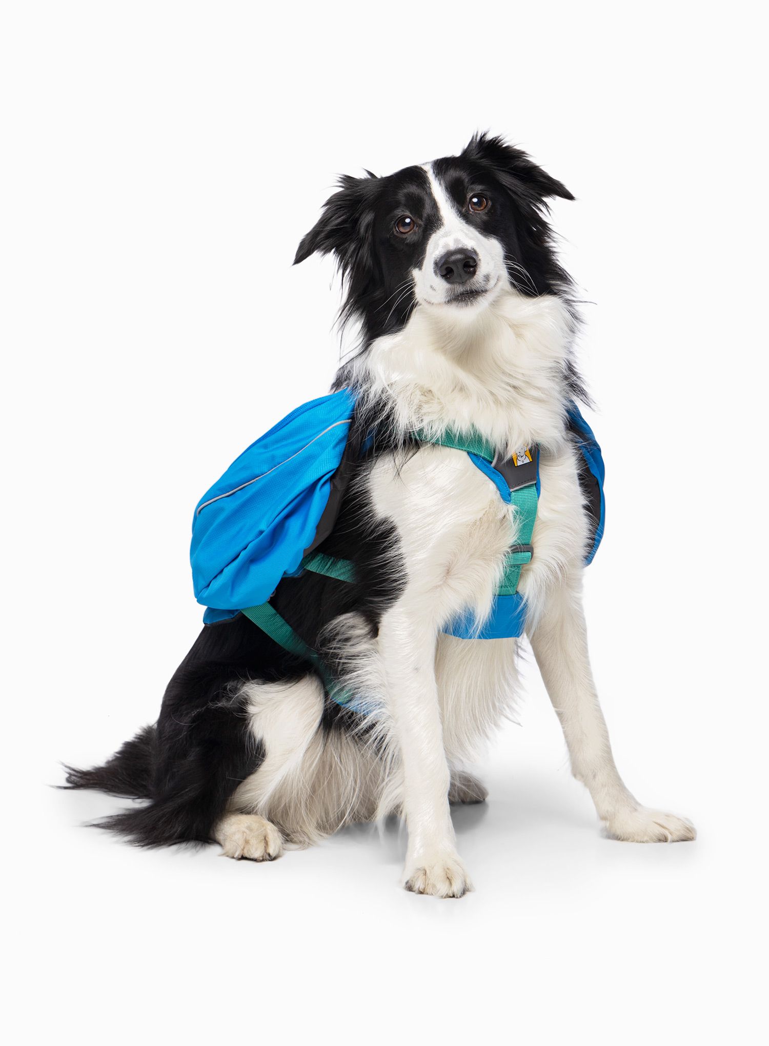 Nahrbtnik za psa Ruffwear Approach Pack - blue dusk