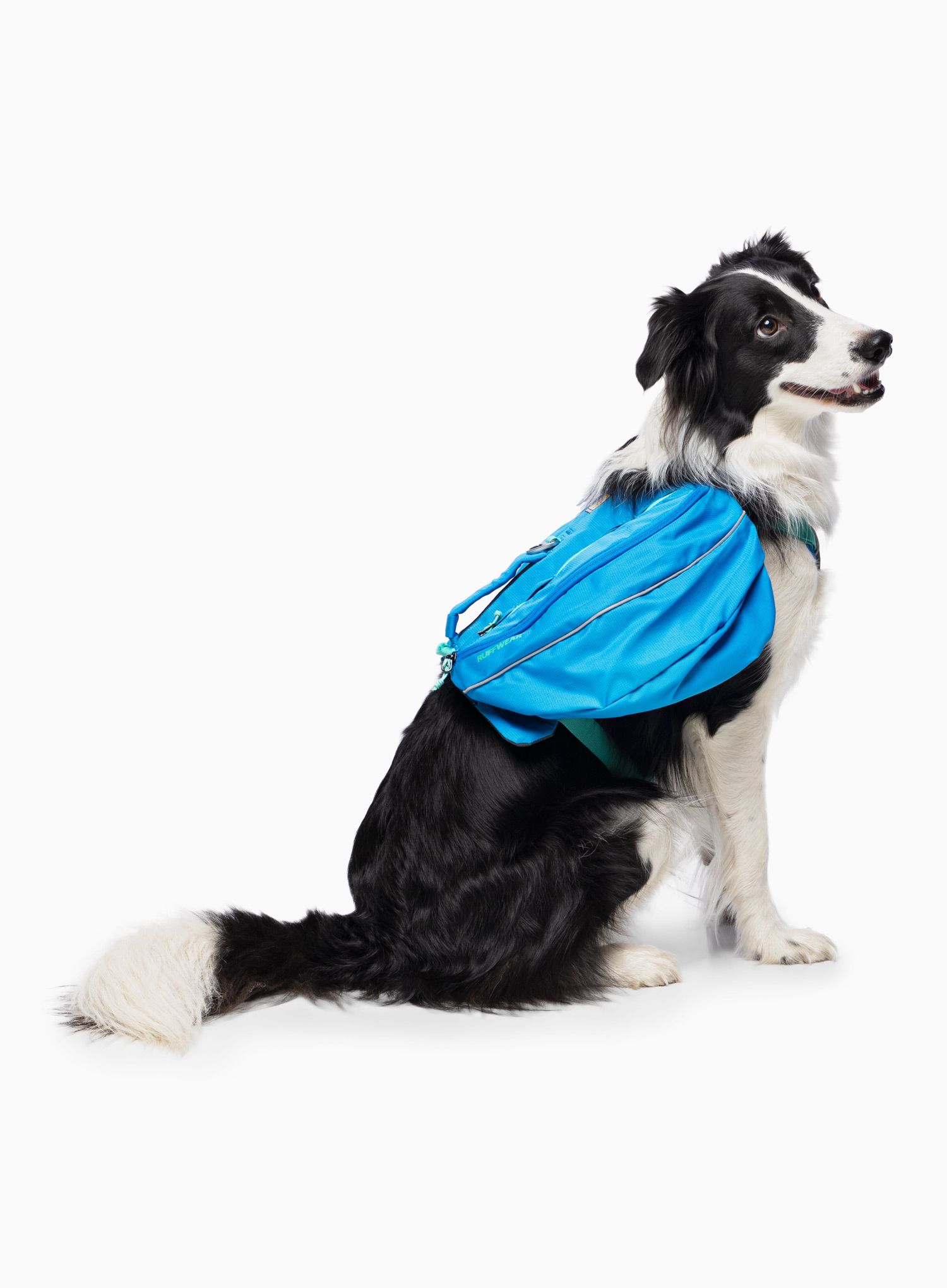Nahrbtnik za psa Ruffwear Approach Pack - blue dusk