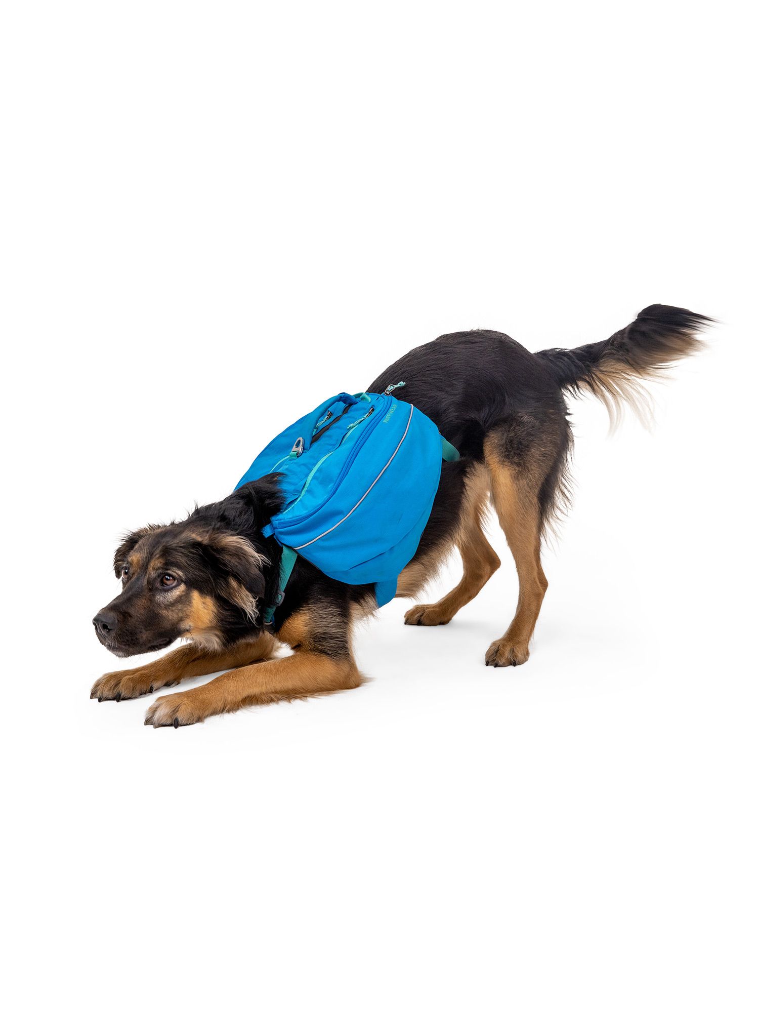 Nahrbtnik za psa Ruffwear Approach Pack - blue dusk
