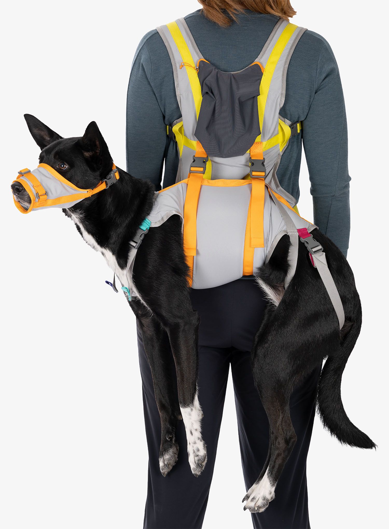Komplet Ruffwear Backtrak Dog Evacuation Kit - cloudburst gray