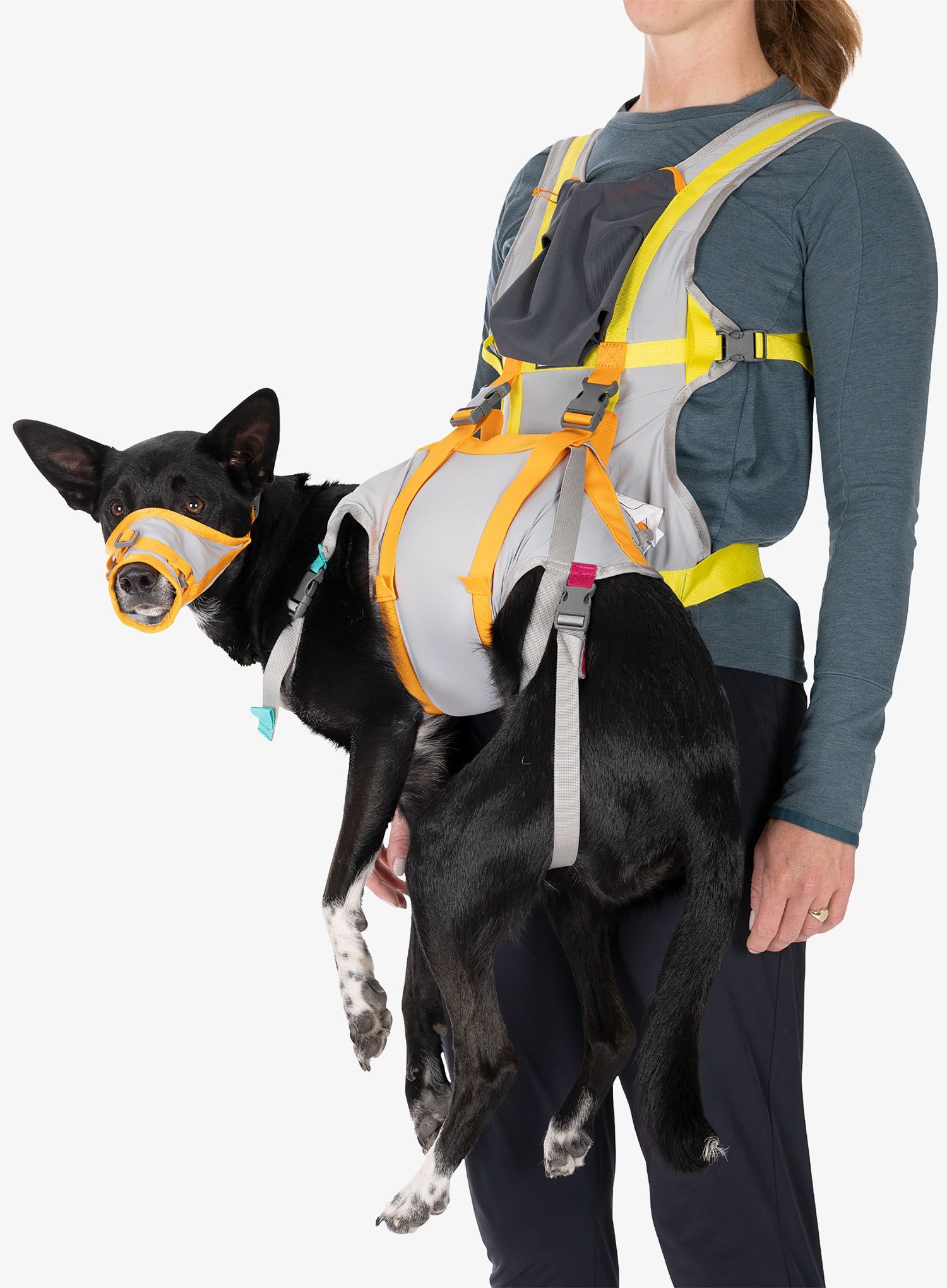 Komplet Ruffwear Backtrak Dog Evacuation Kit - cloudburst gray