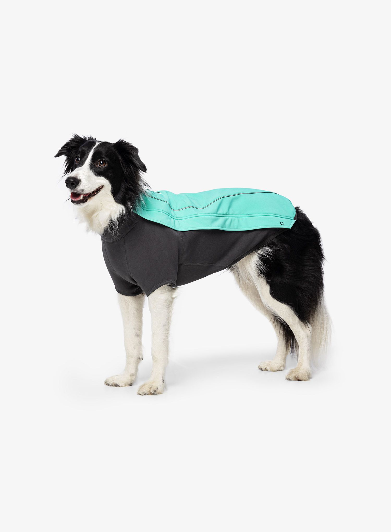Plašč za psa Ruffwear Cloud Chaser Jacket - aurora teal