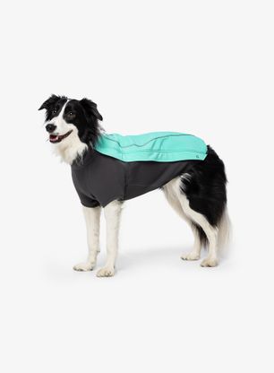Plašč za psa Ruffwear Cloud Chaser Jacket - aurora teal