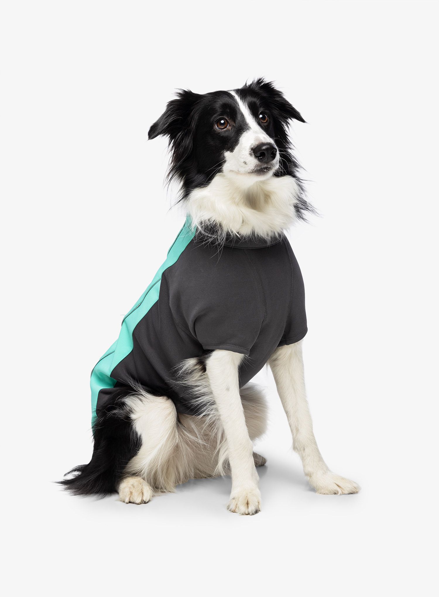 Plašč za psa Ruffwear Cloud Chaser Jacket - aurora teal