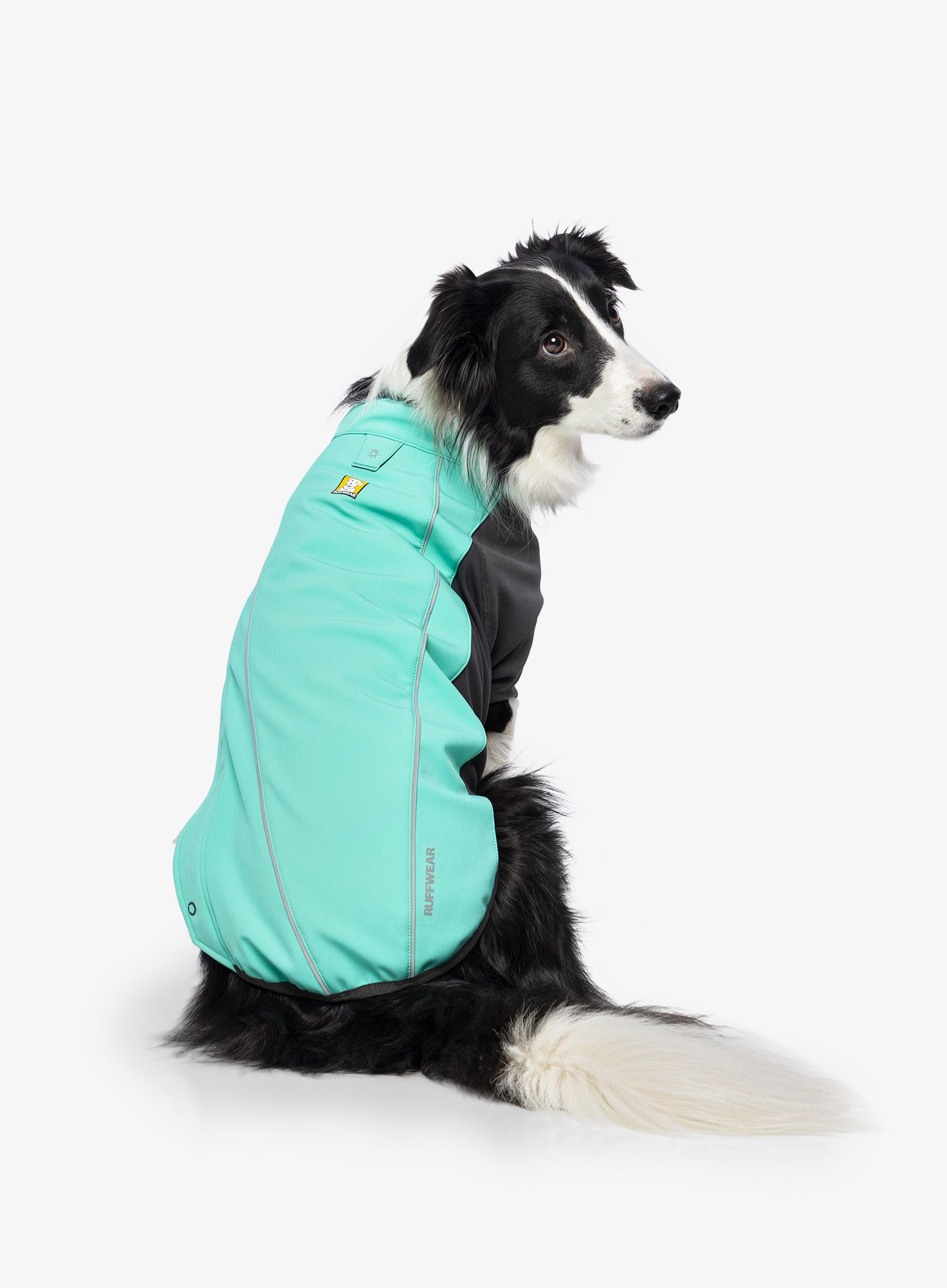 Plašč za psa Ruffwear Cloud Chaser Jacket - aurora teal