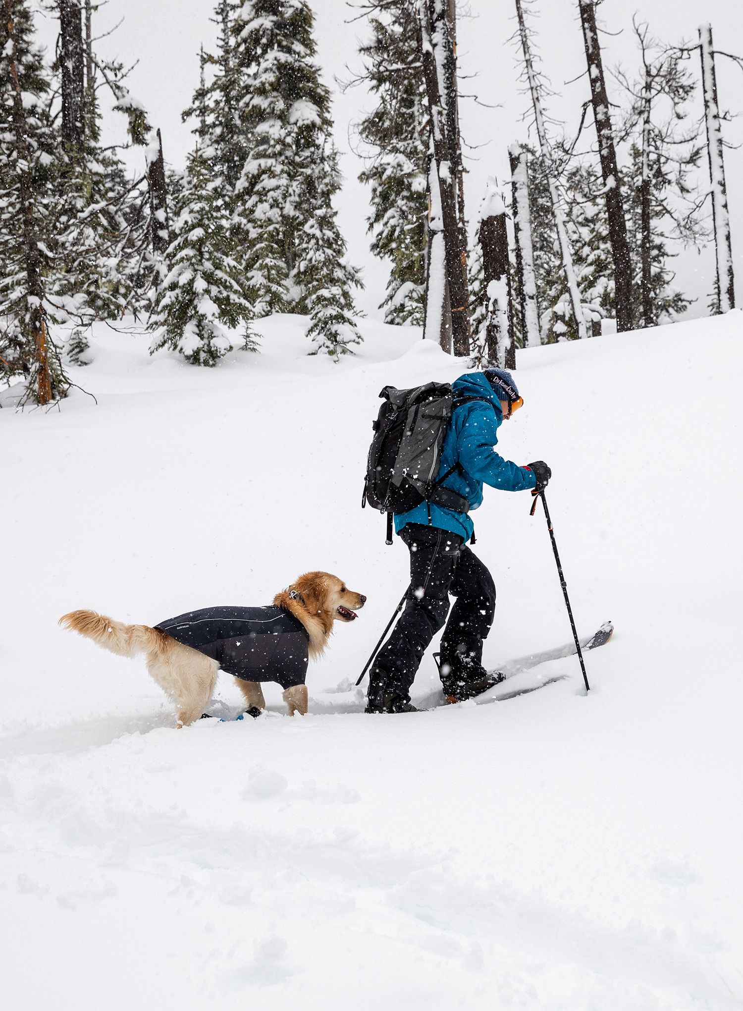 Sintetična jakna Ruffwear Cloud Chaser Jacket - obsidian black