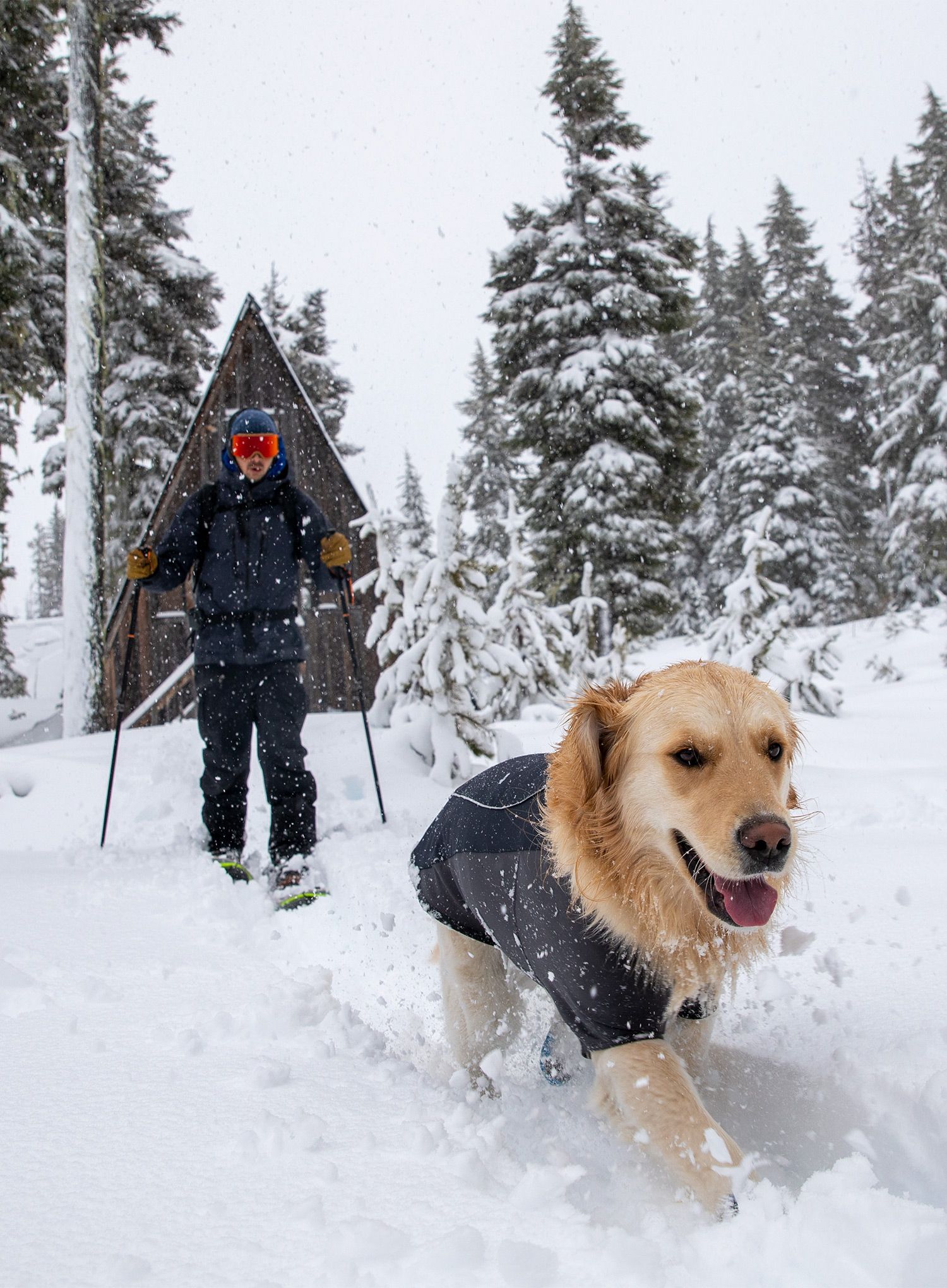 Sintetična jakna Ruffwear Cloud Chaser Jacket - obsidian black