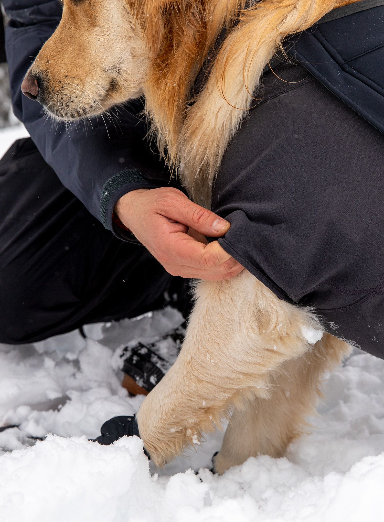 Sintetična jakna Ruffwear Cloud Chaser Jacket - obsidian black