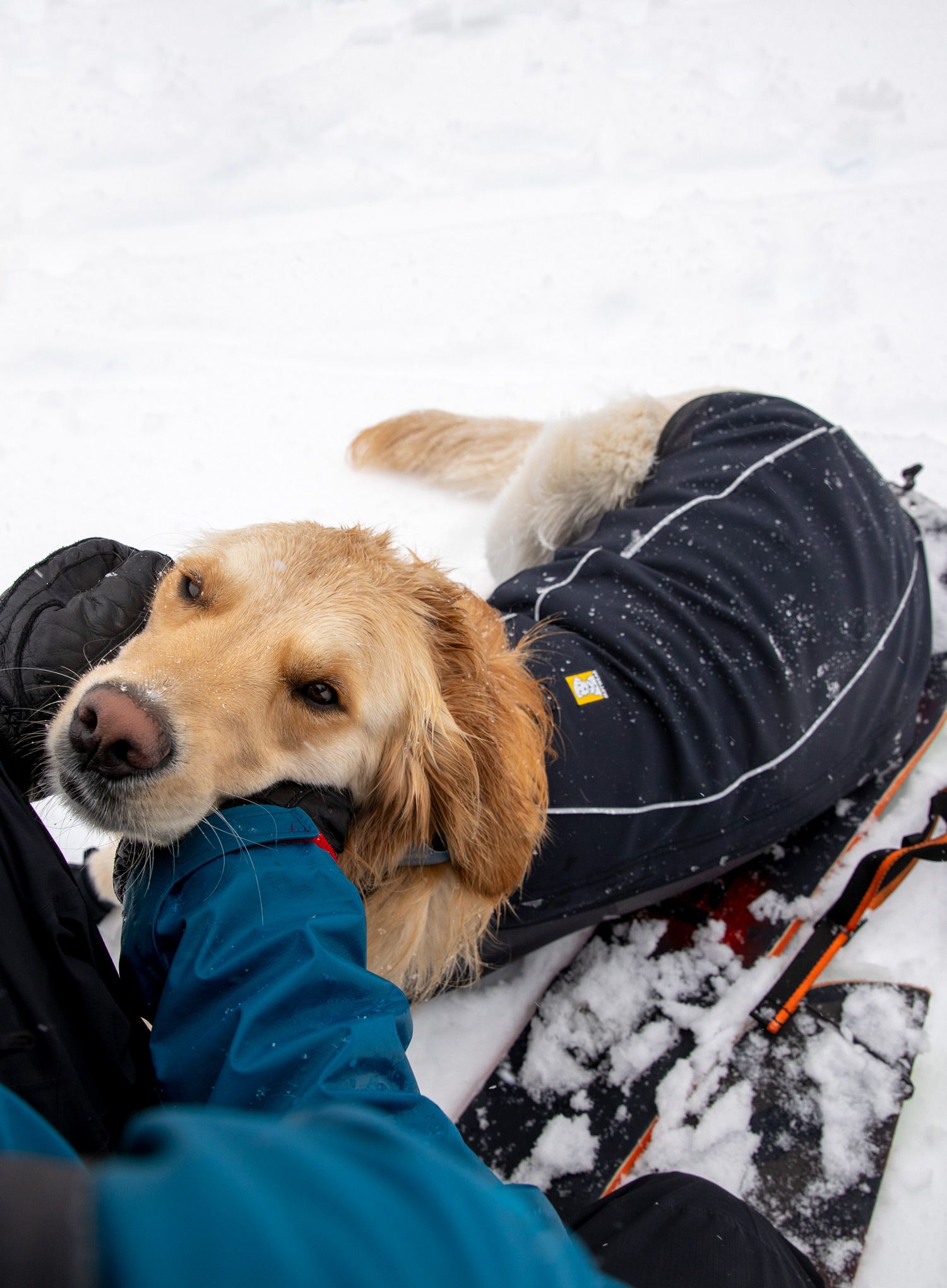 Sintetična jakna Ruffwear Cloud Chaser Jacket - obsidian black
