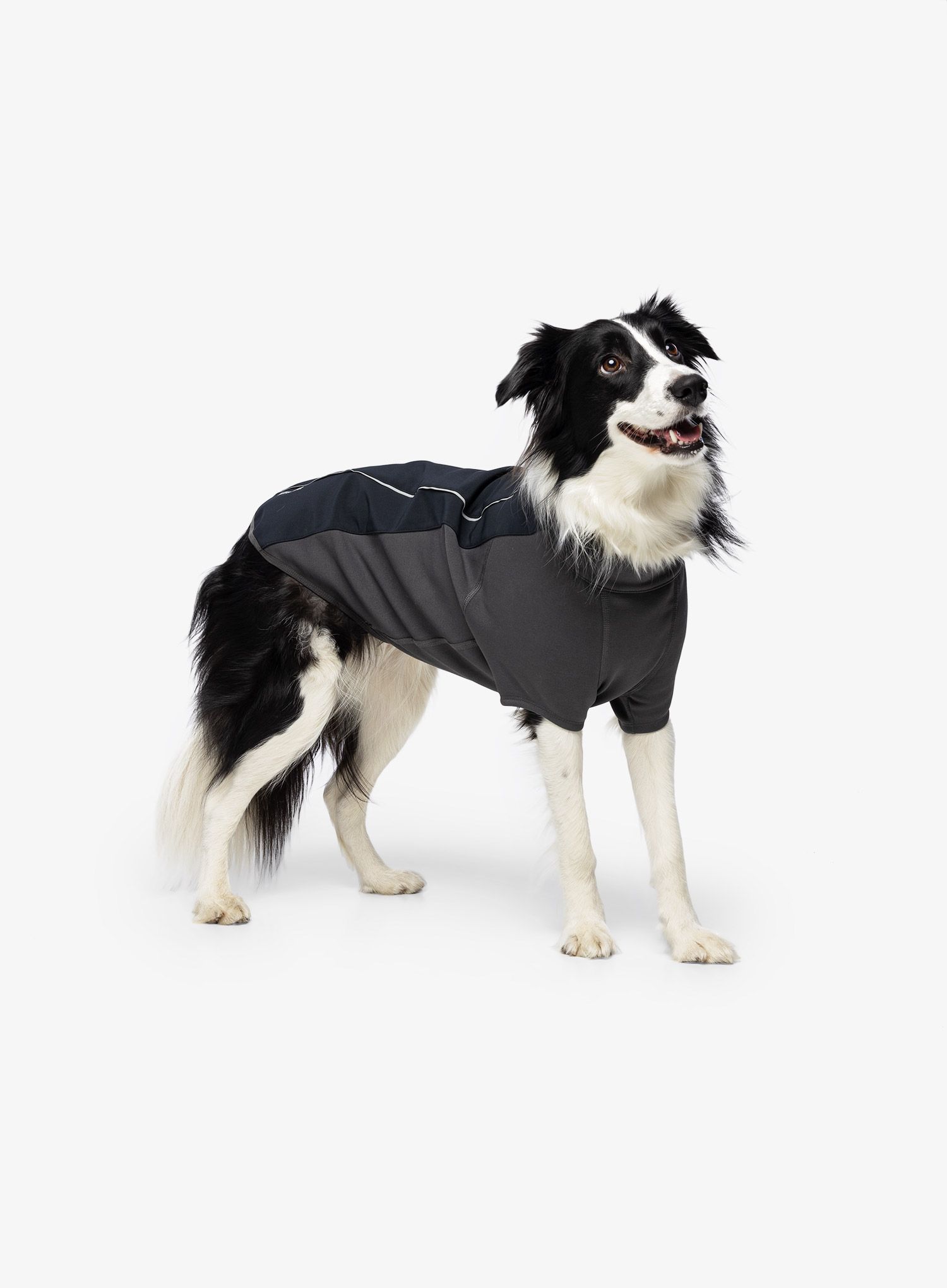 Sintetična jakna Ruffwear Cloud Chaser Jacket - obsidian black