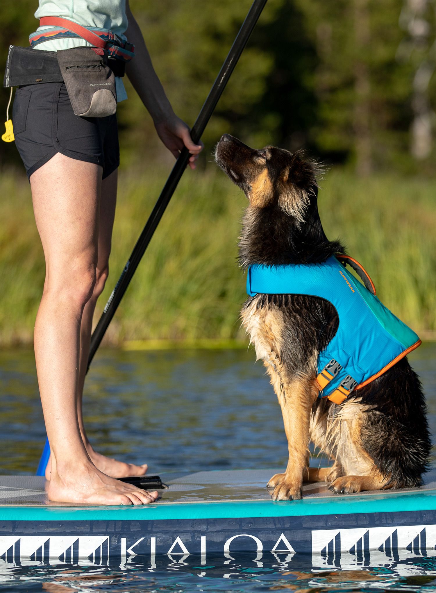 Reševalni jopič za pse Ruffwear Float Coat - blue dusk