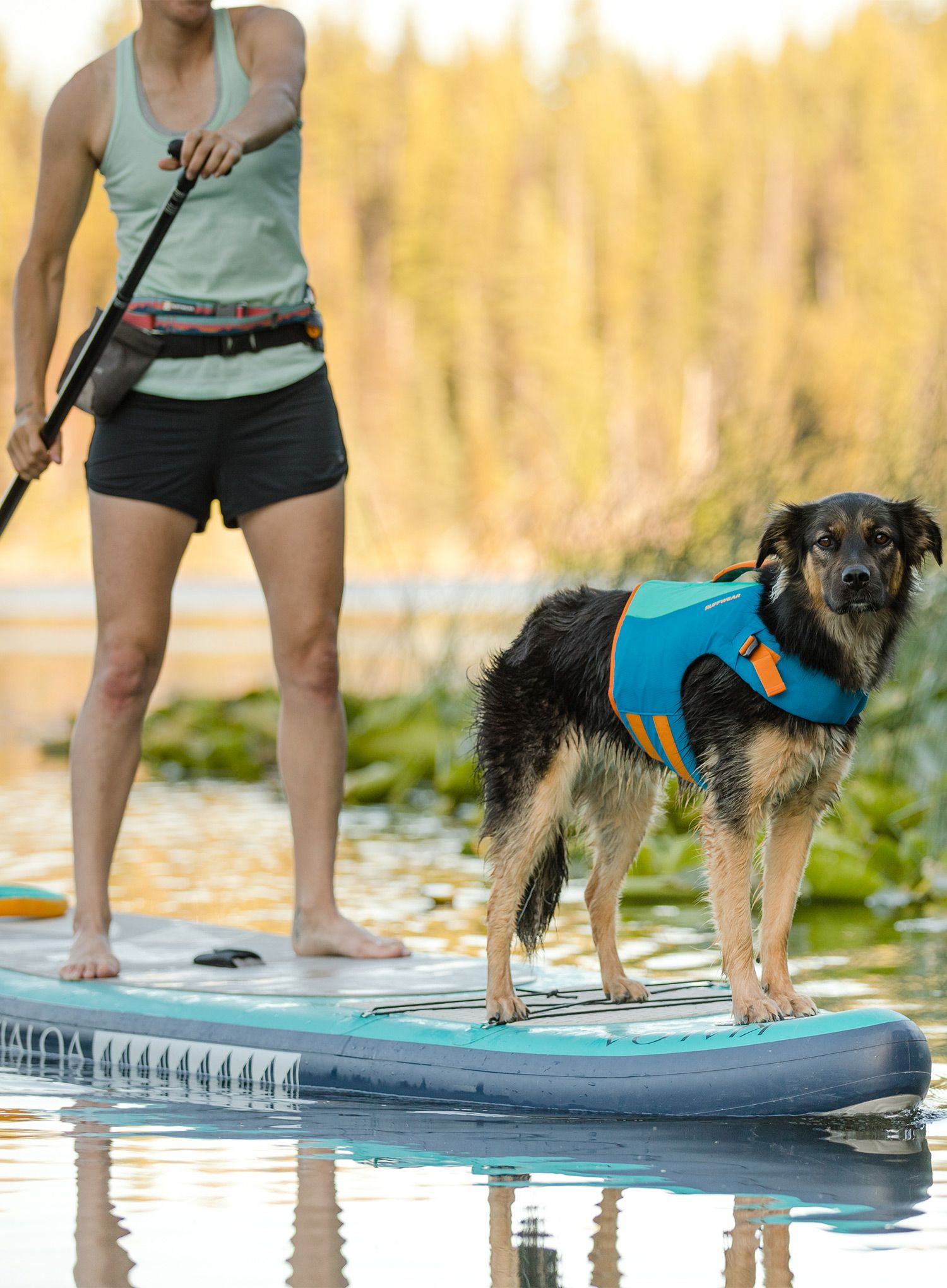 Reševalni jopič za pse Ruffwear Float Coat - blue dusk