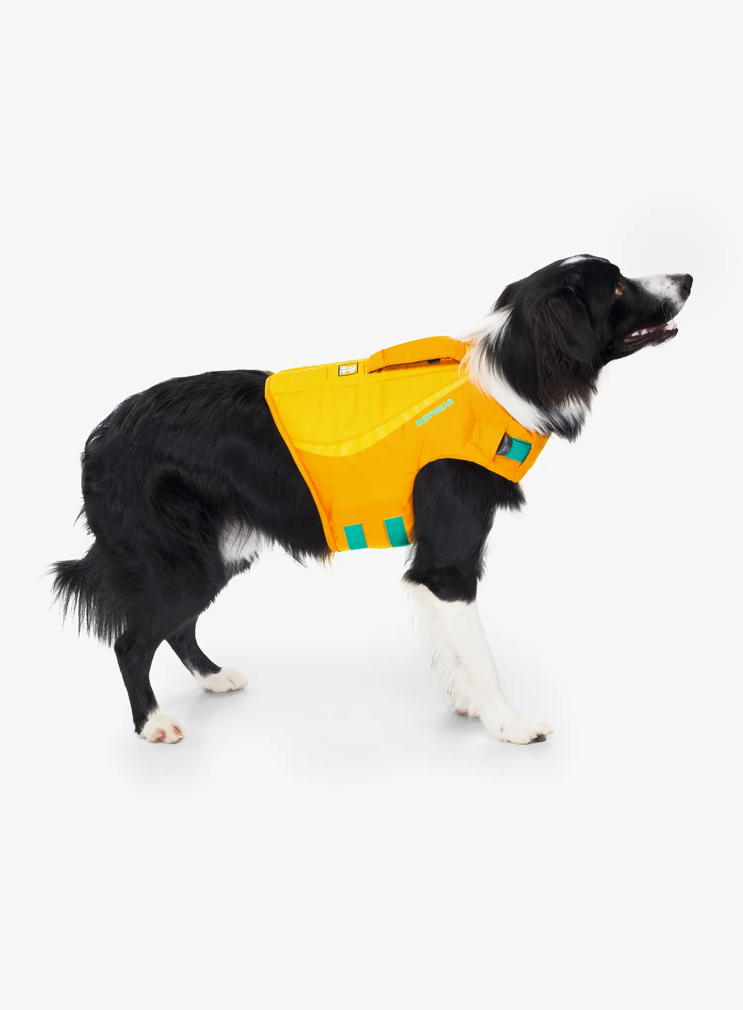 Reševalni jopič za pse Ruffwear Float Coat - wave orange