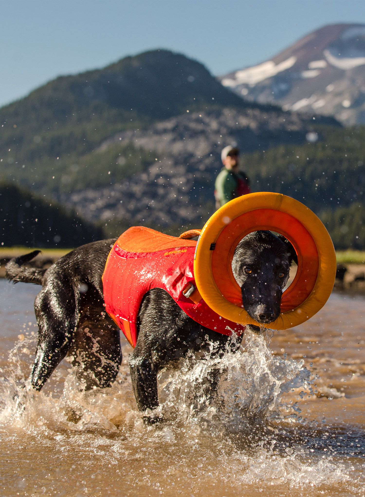 Reševalni jopič za pse Ruffwear Float Coat - red sumac