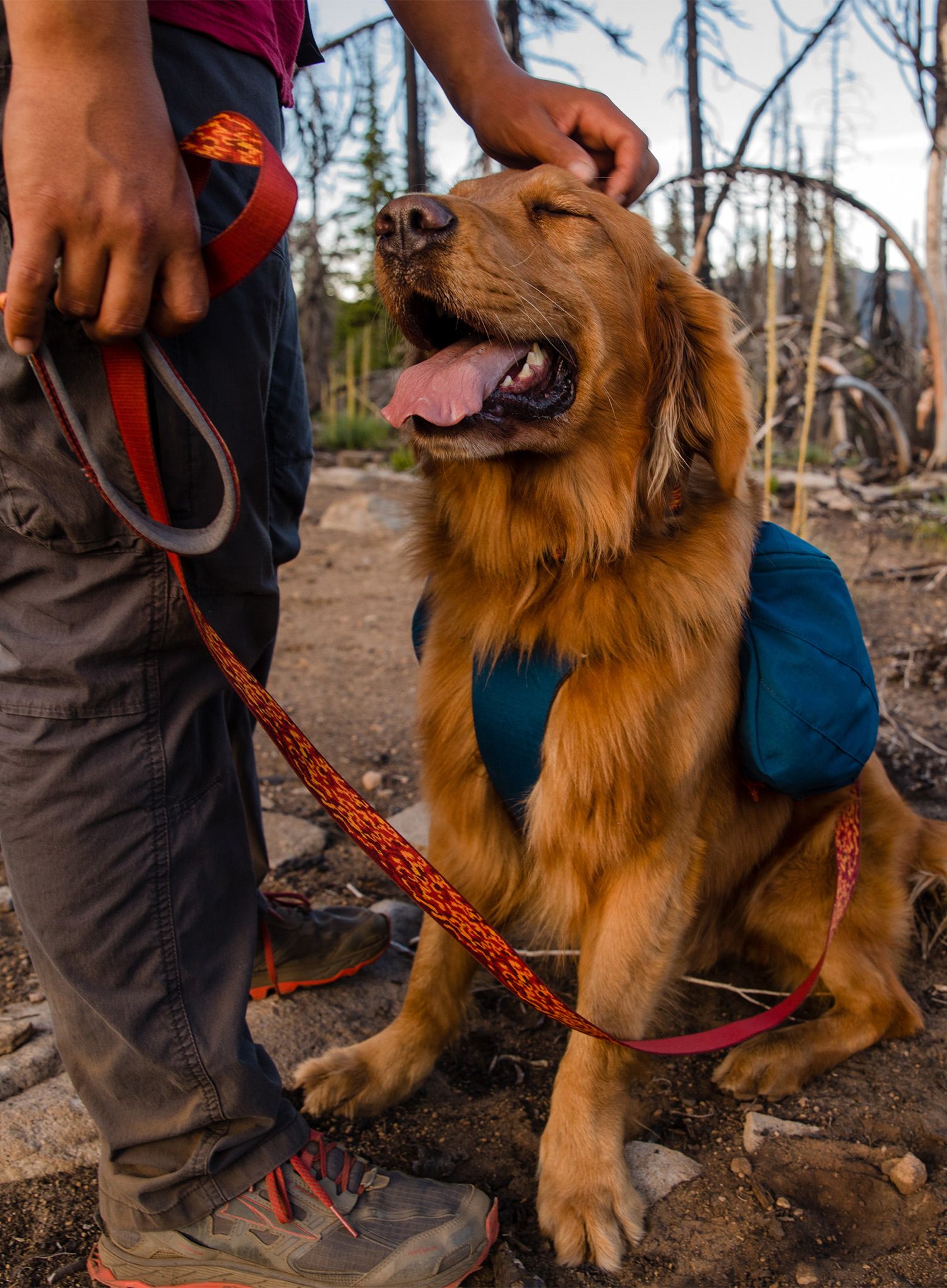Nahrbtnik za psa Ruffwear Front Range Day Pack - blue moon