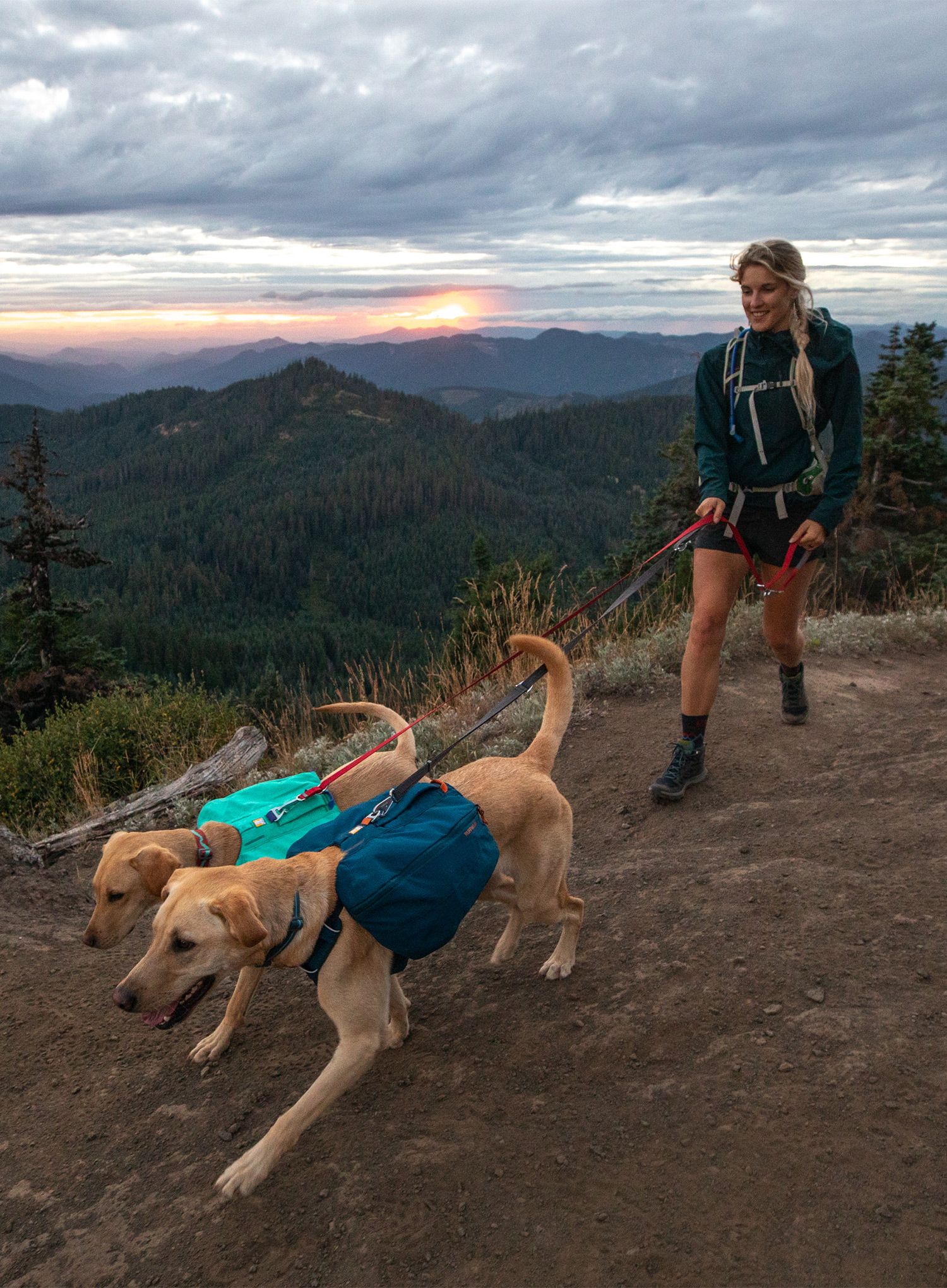 Nahrbtnik za psa Ruffwear Front Range Day Pack - blue moon