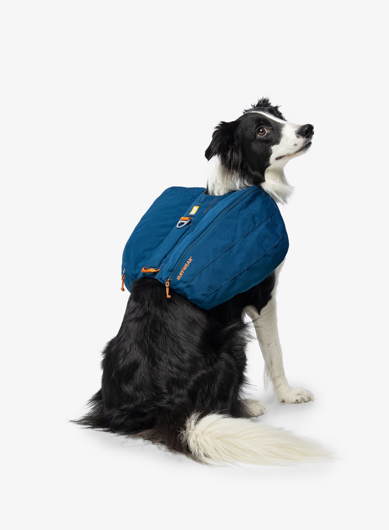 Nahrbtnik za psa Ruffwear Front Range Day Pack - blue moon