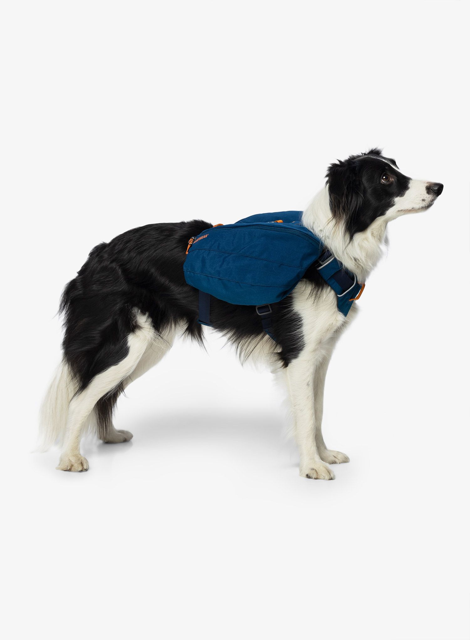 Nahrbtnik za psa Ruffwear Front Range Day Pack - blue moon
