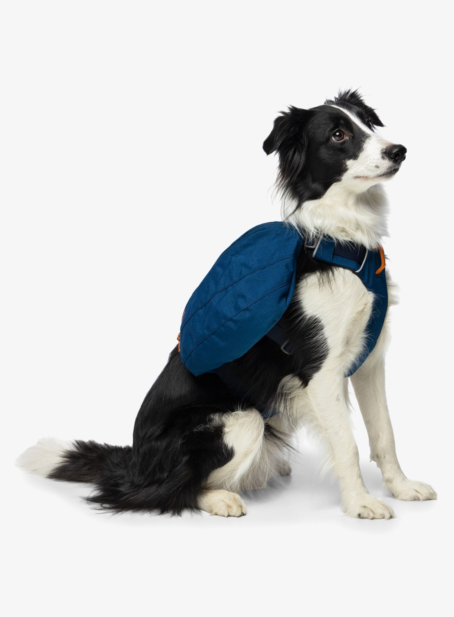 Nahrbtnik za psa Ruffwear Front Range Day Pack - blue moon