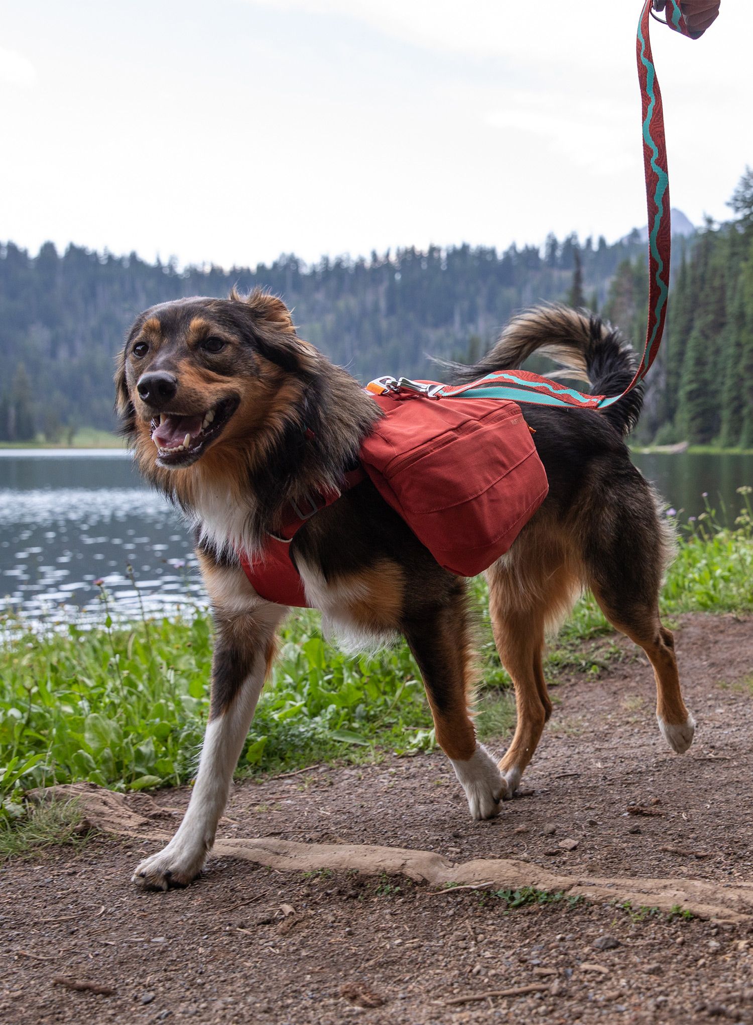 Nahrbtnik za psa Ruffwear Front Range Day Pack - red clay