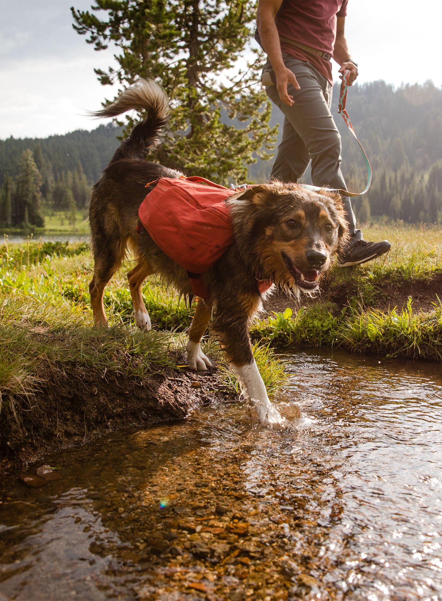 Nahrbtnik za psa Ruffwear Front Range Day Pack - red clay
