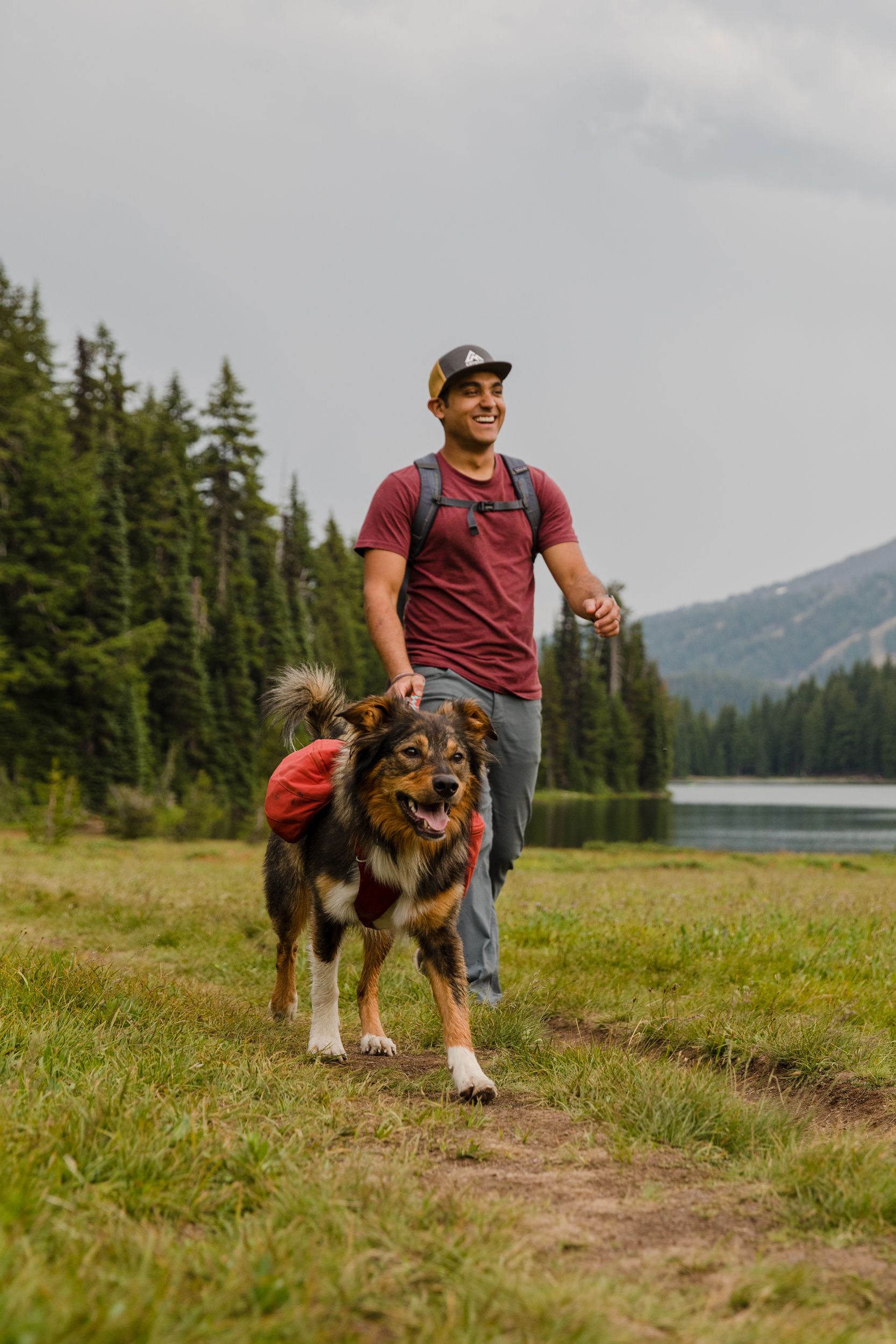 Nahrbtnik za psa Ruffwear Front Range Day Pack - red clay