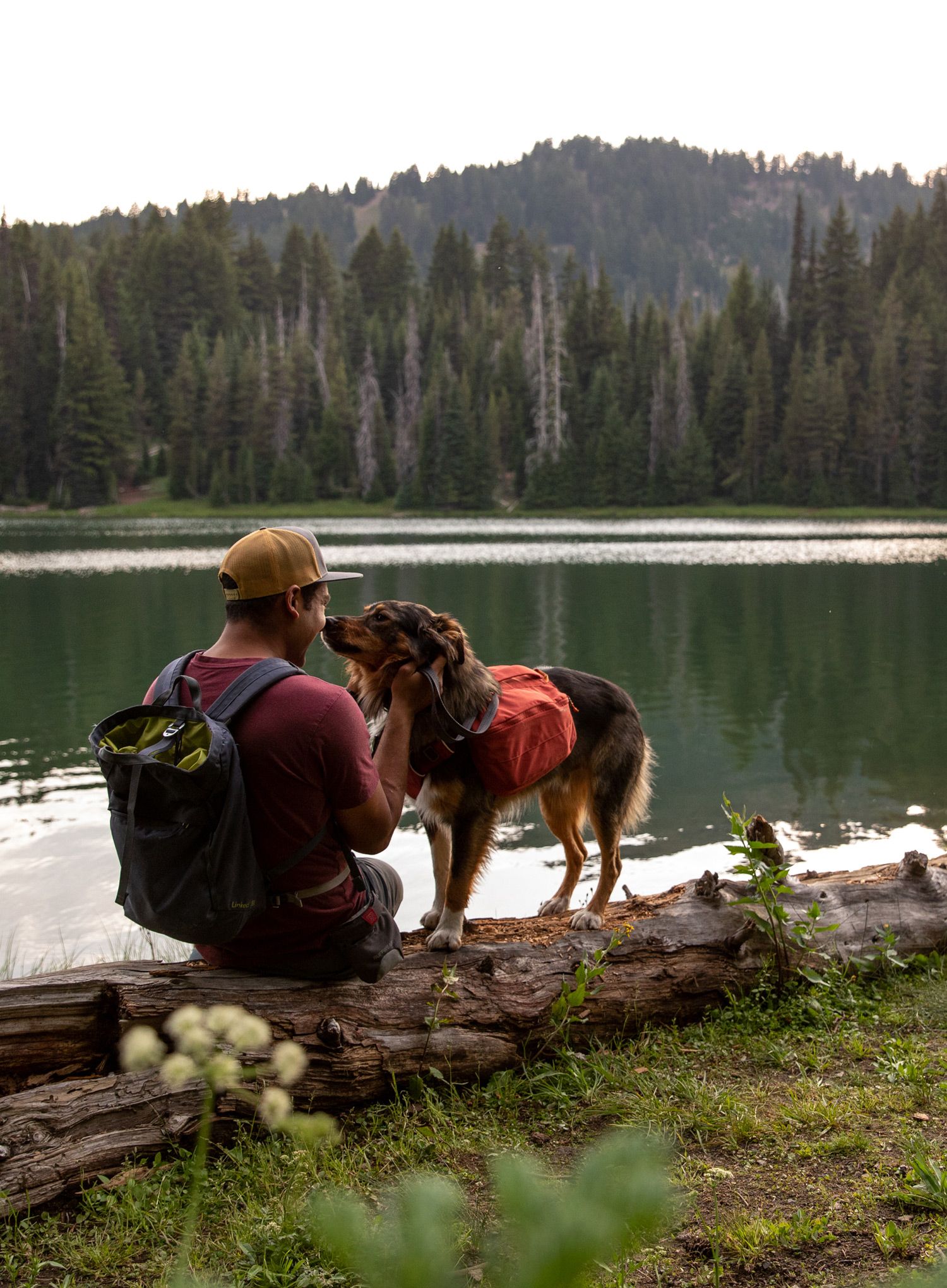 Nahrbtnik za psa Ruffwear Front Range Day Pack - red clay