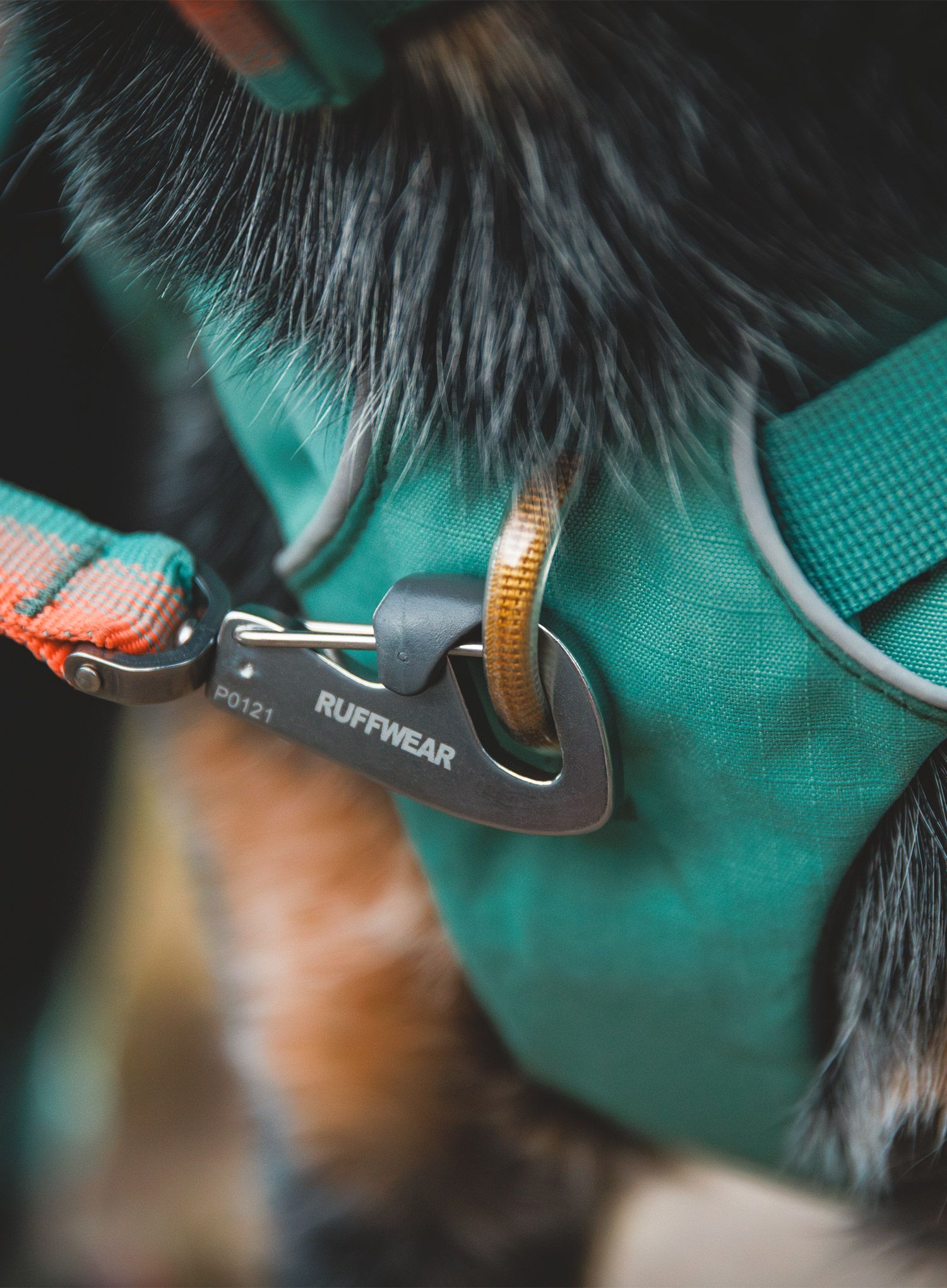 Nahrbtnik za psa Ruffwear Front Range Day Pack - river rock green
