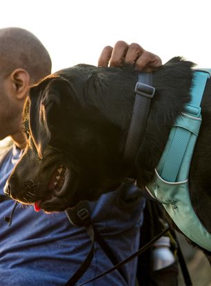 Pasja oprsnica Ruffwear Front Range Harness M - river rock green