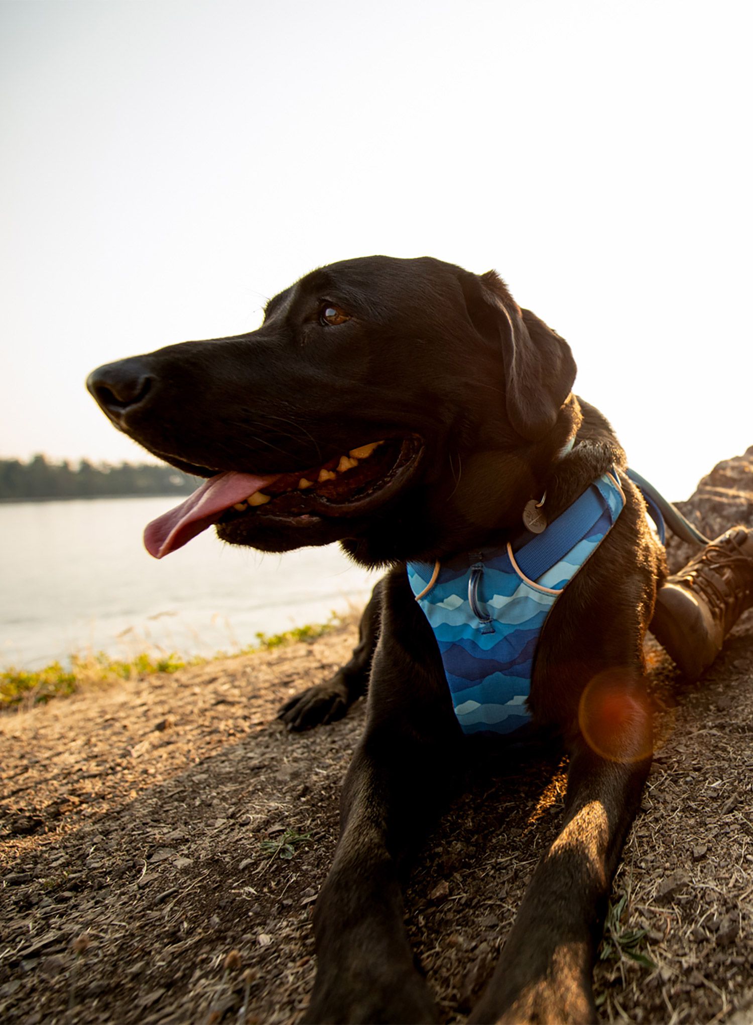 Pasja oprsnica Ruffwear Front Range Harness S - coastal mountains
