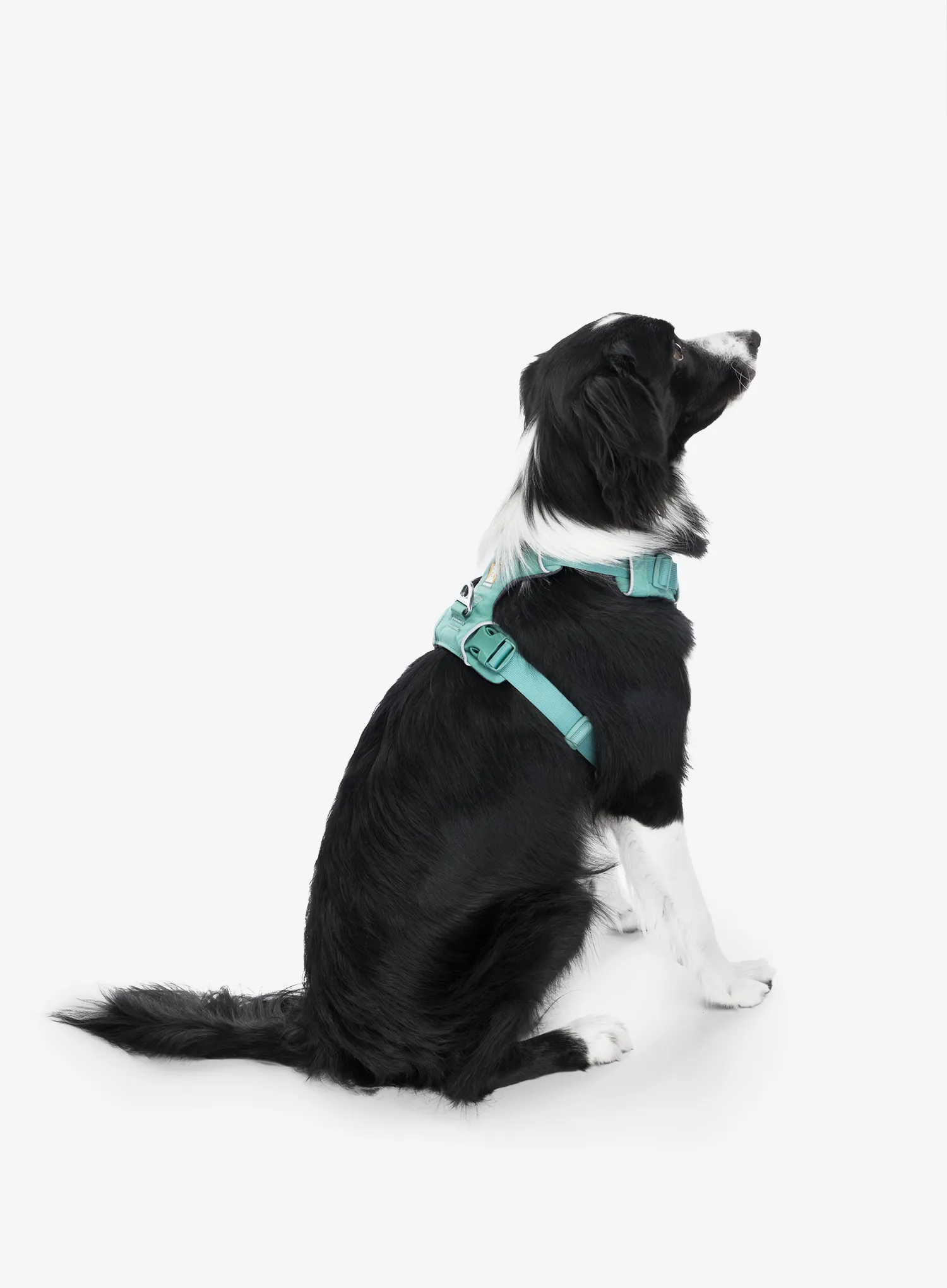 Pasja oprsnica Ruffwear Front Range Harness S - river rock green