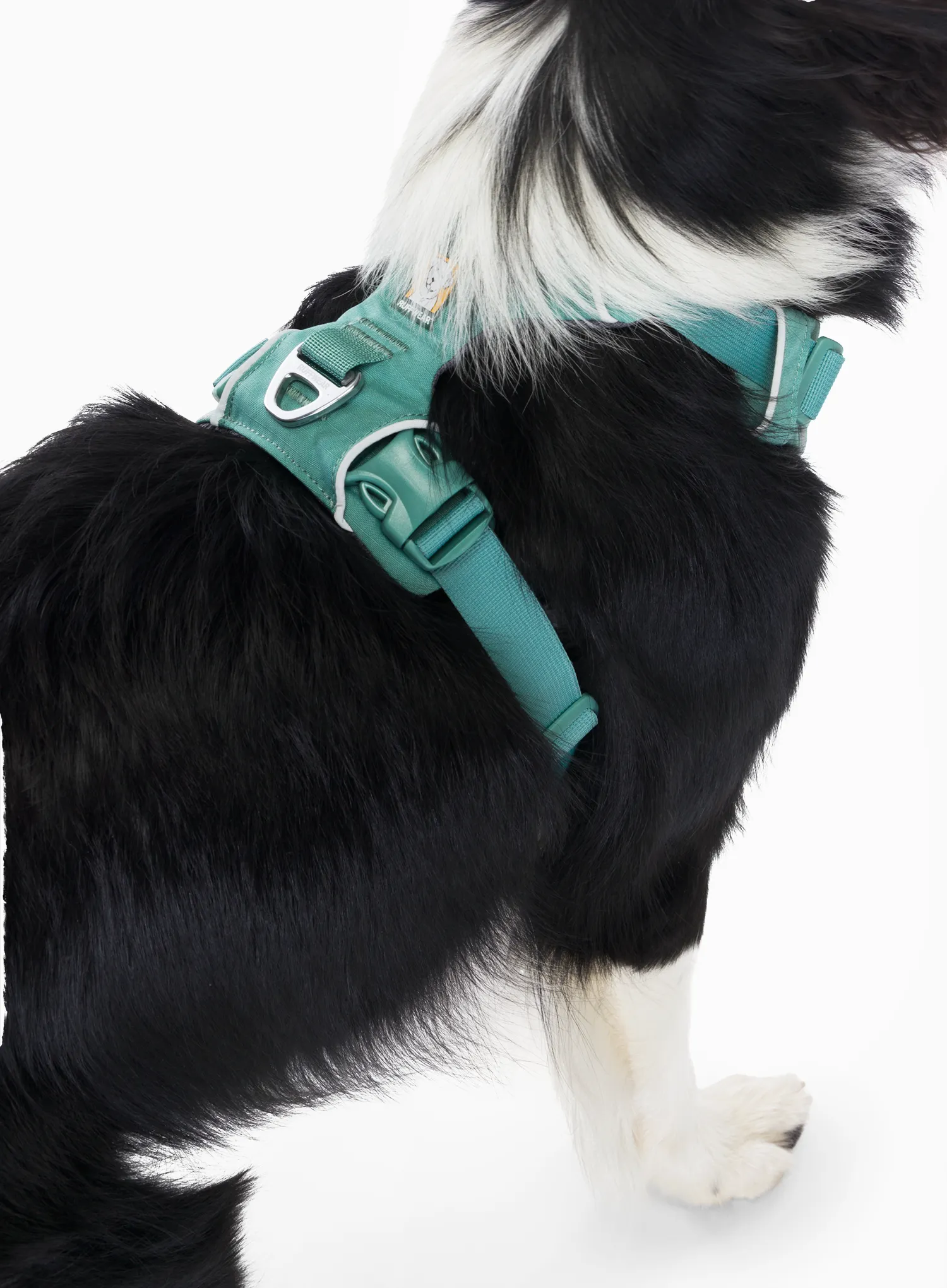 Pasja oprsnica Ruffwear Front Range Harness S - river rock green