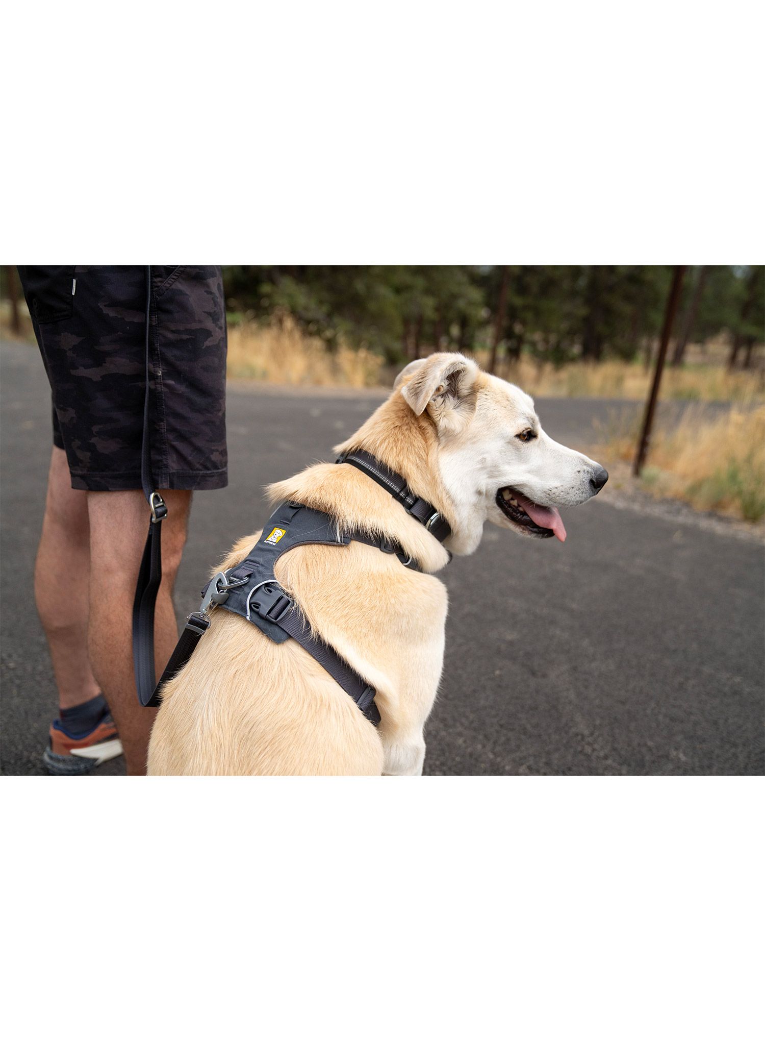 Pasja oprsnica Ruffwear Front Range Harness XS - basalt gray