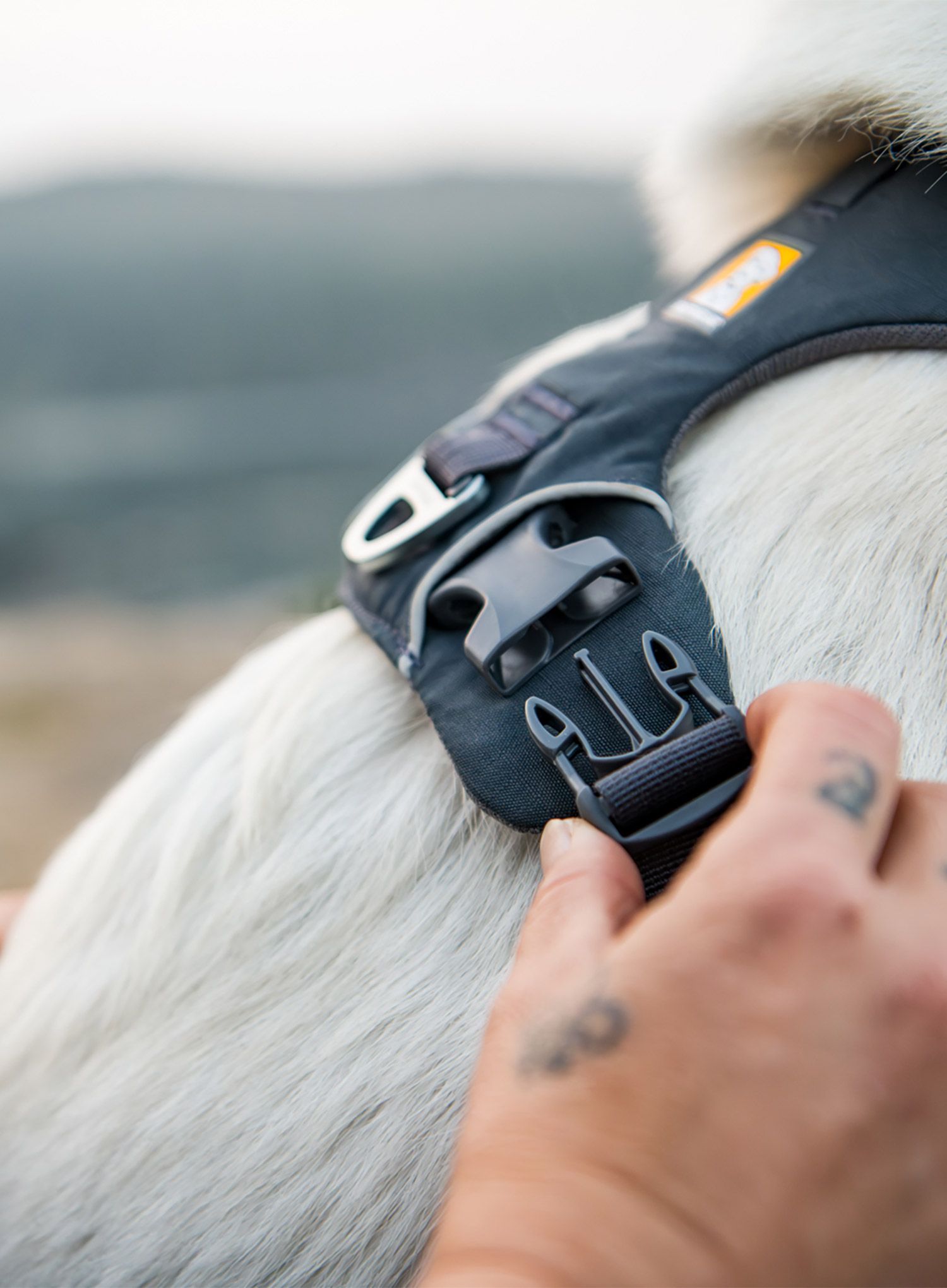 Pasja oprsnica Ruffwear Front Range Harness XS - basalt gray
