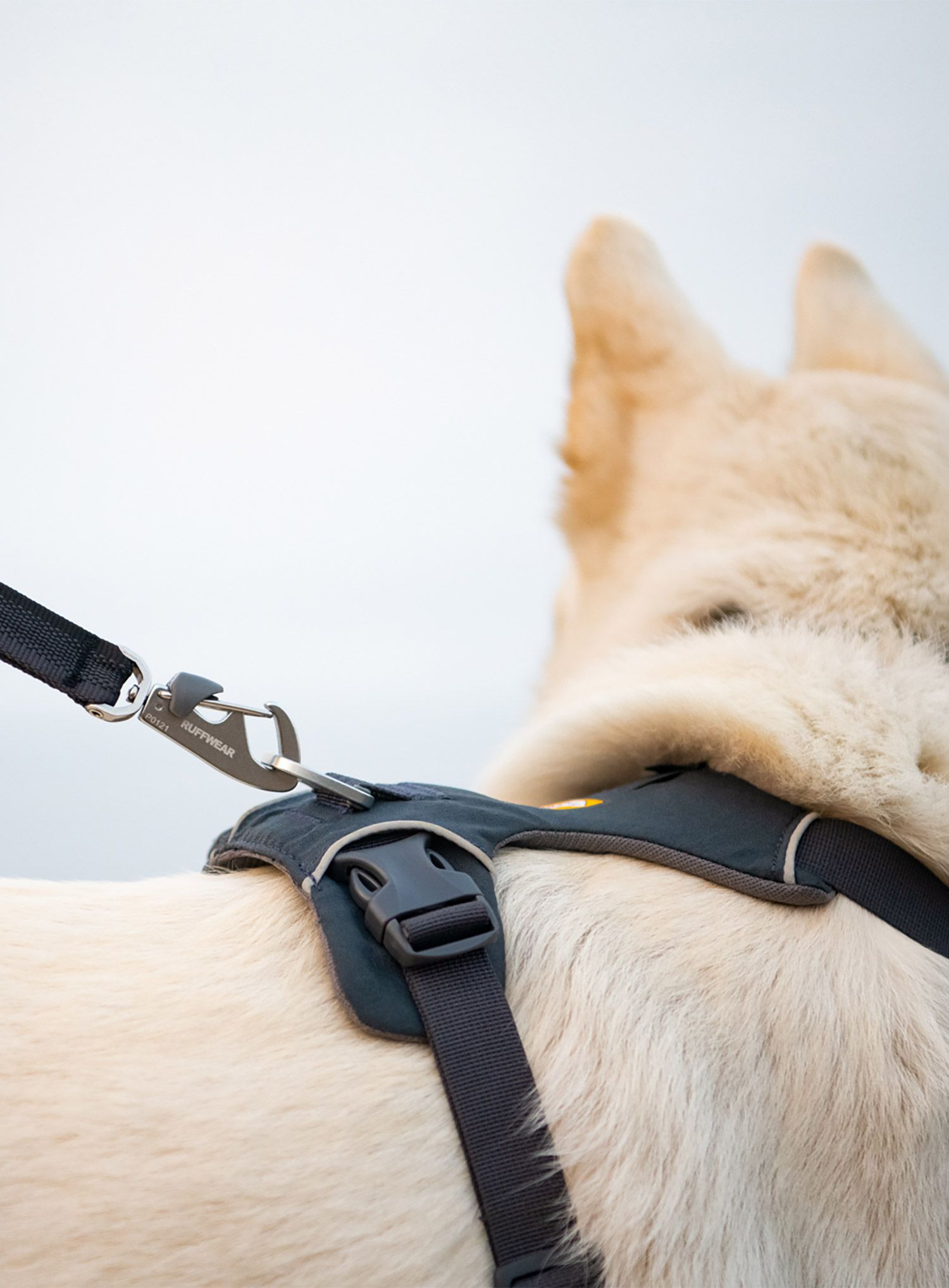 Pasja oprsnica Ruffwear Front Range Harness XXS - basalt gray